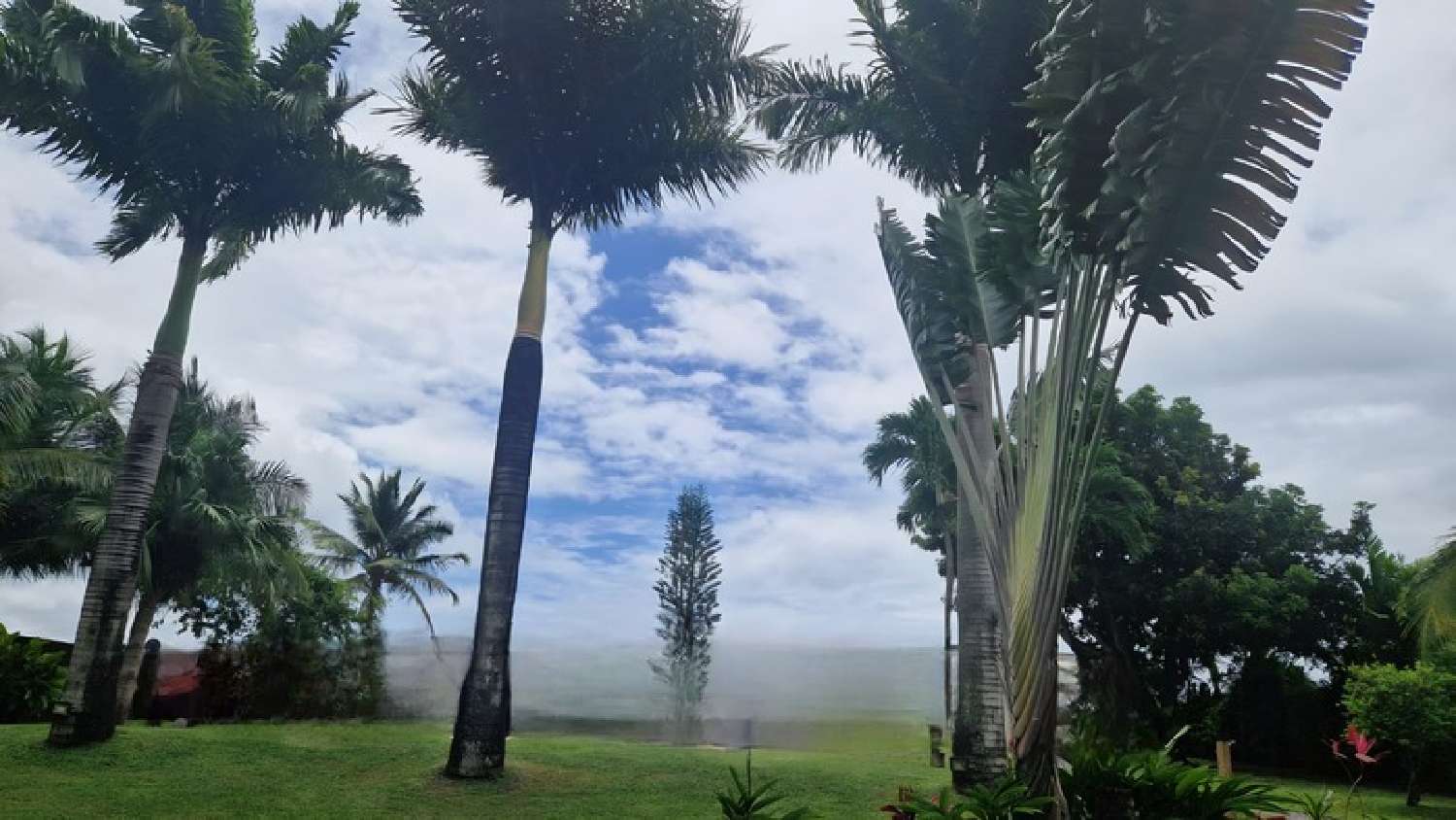  te koop villa Baie-Mahault Guadeloupe 1