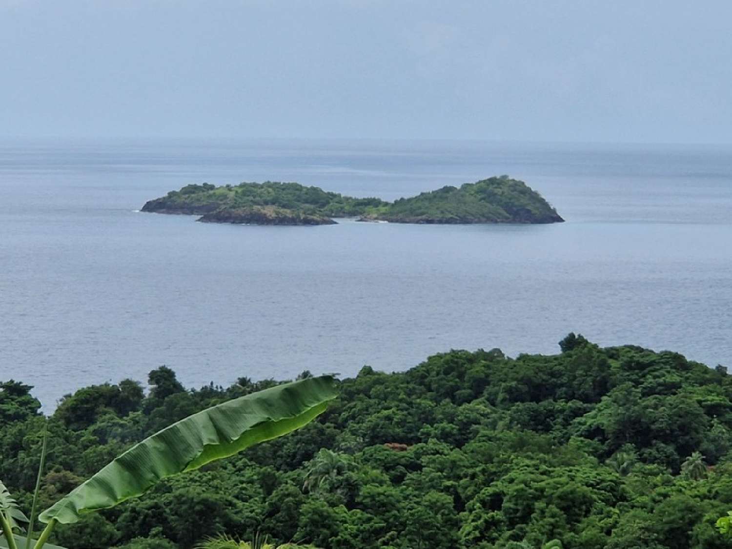 te koop villa Bouillante Guadeloupe 1