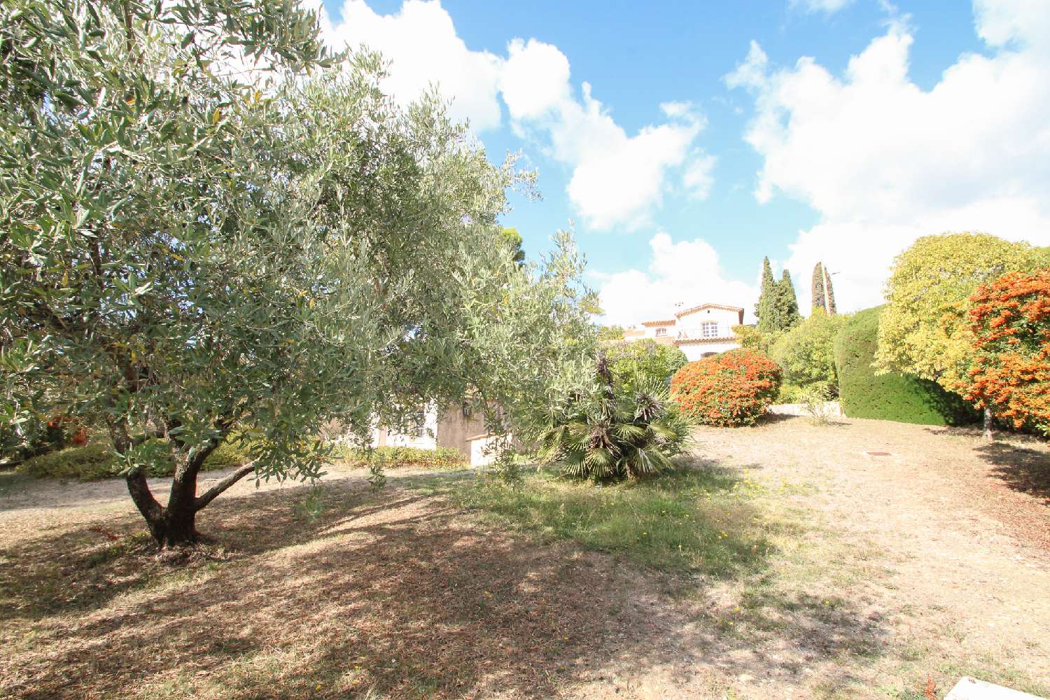 for sale villa Cabris Alpes-Maritimes 4