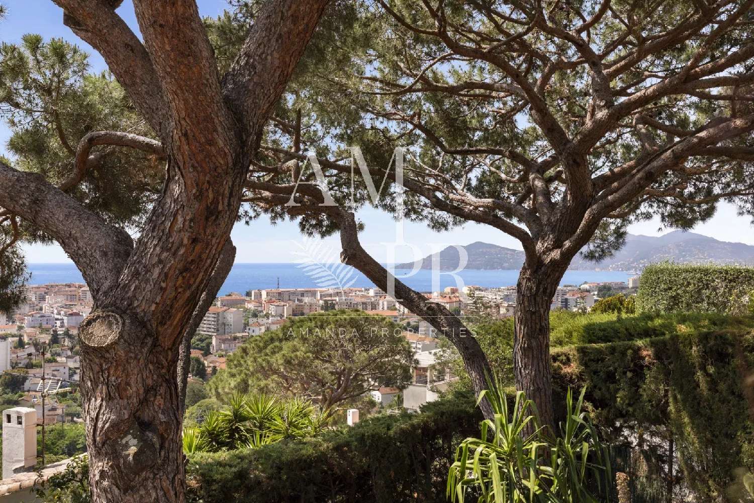 à vendre villa Cannes Alpes-Maritimes 2