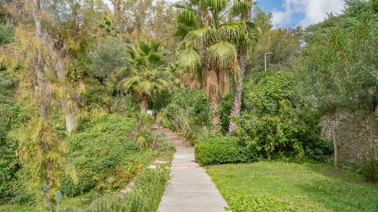 à vendre villa Cannes Alpes-Maritimes 6