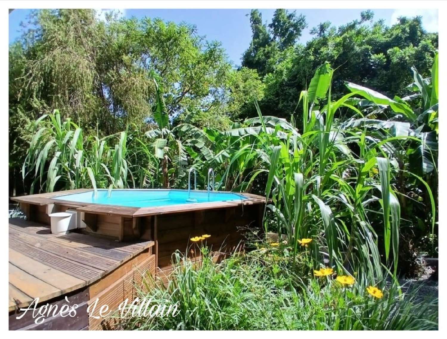 te koop villa Deshaies Guadeloupe 4