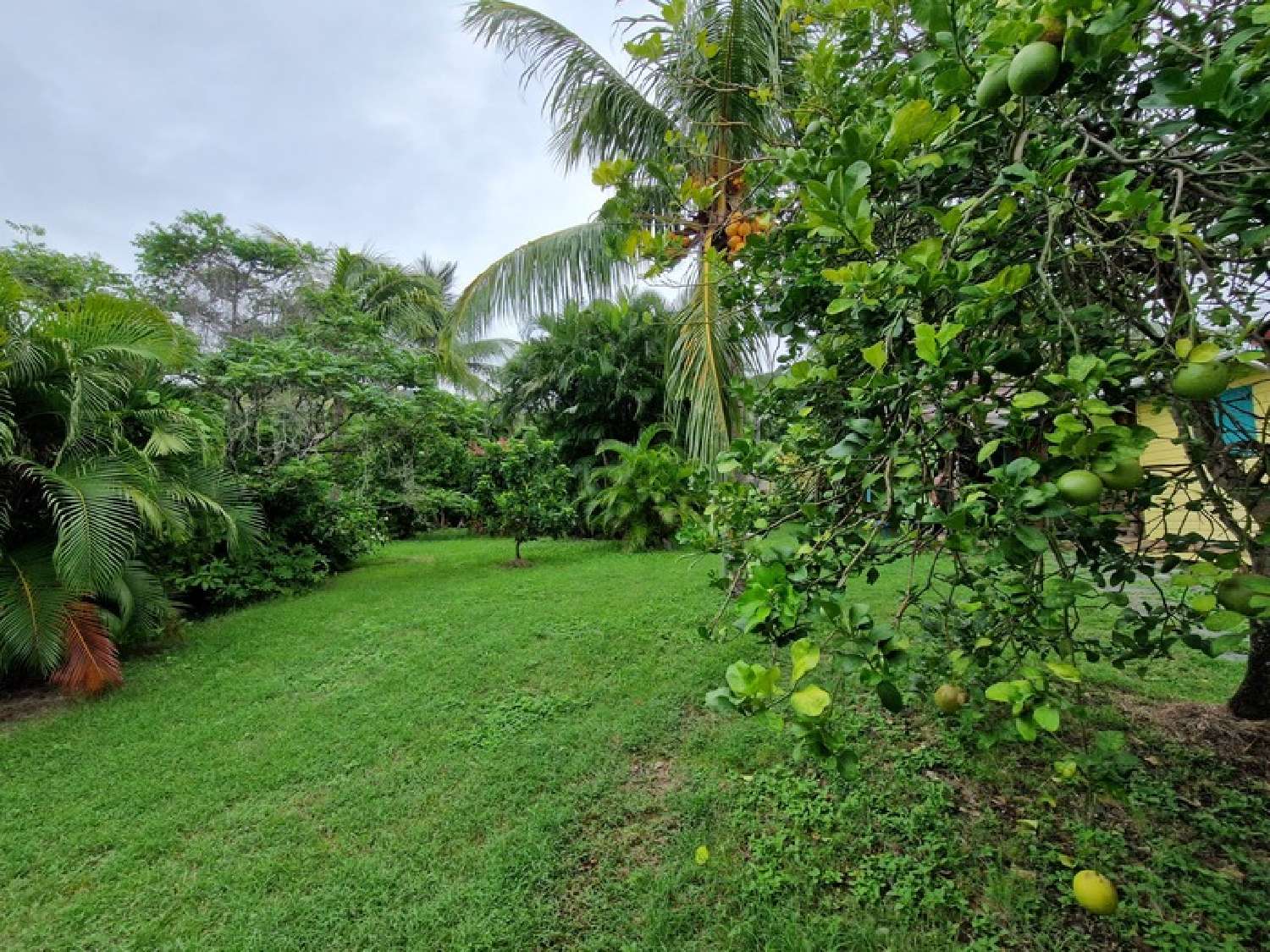 te koop villa Deshaies Guadeloupe 4