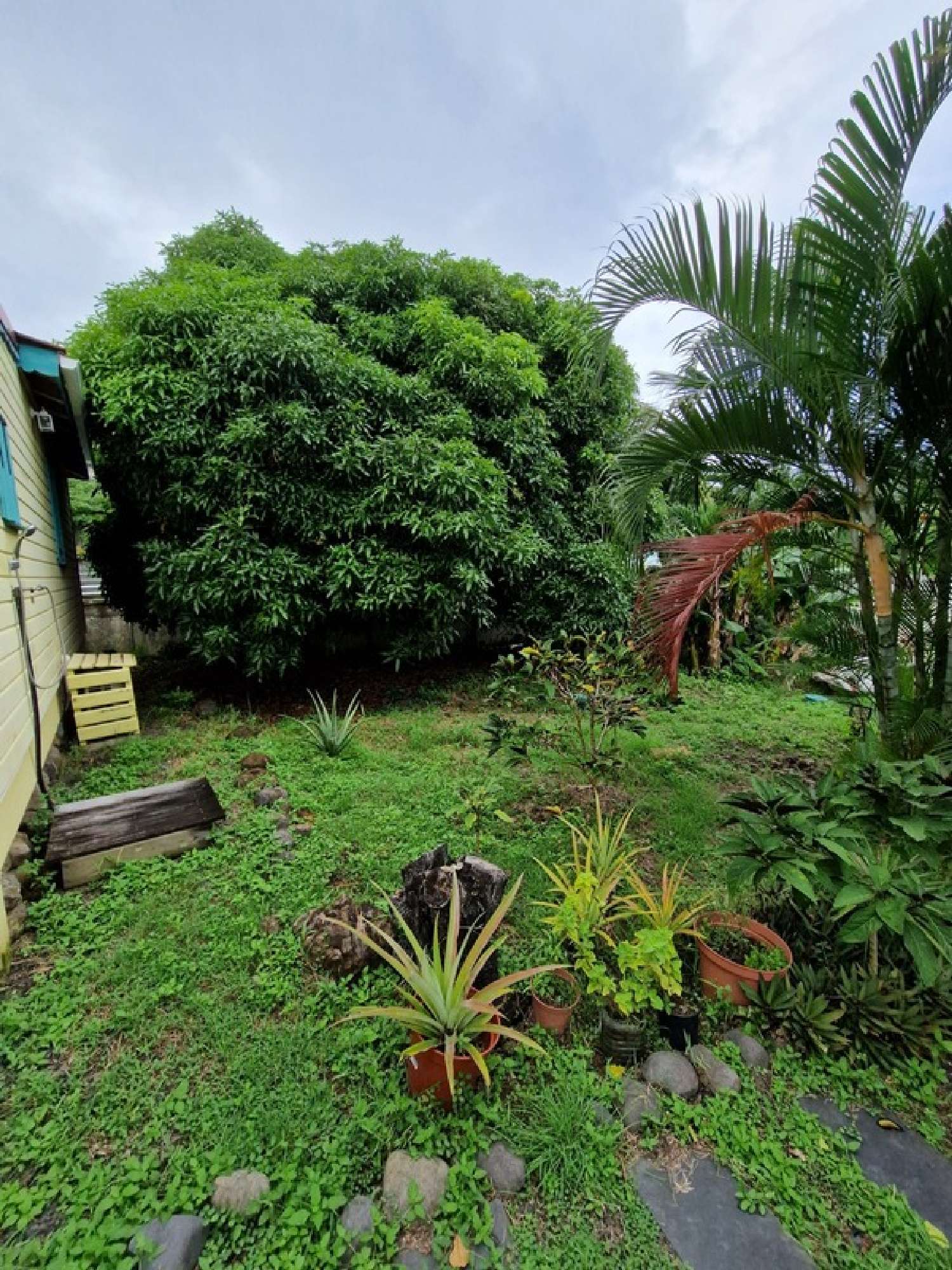 te koop villa Deshaies Guadeloupe 5