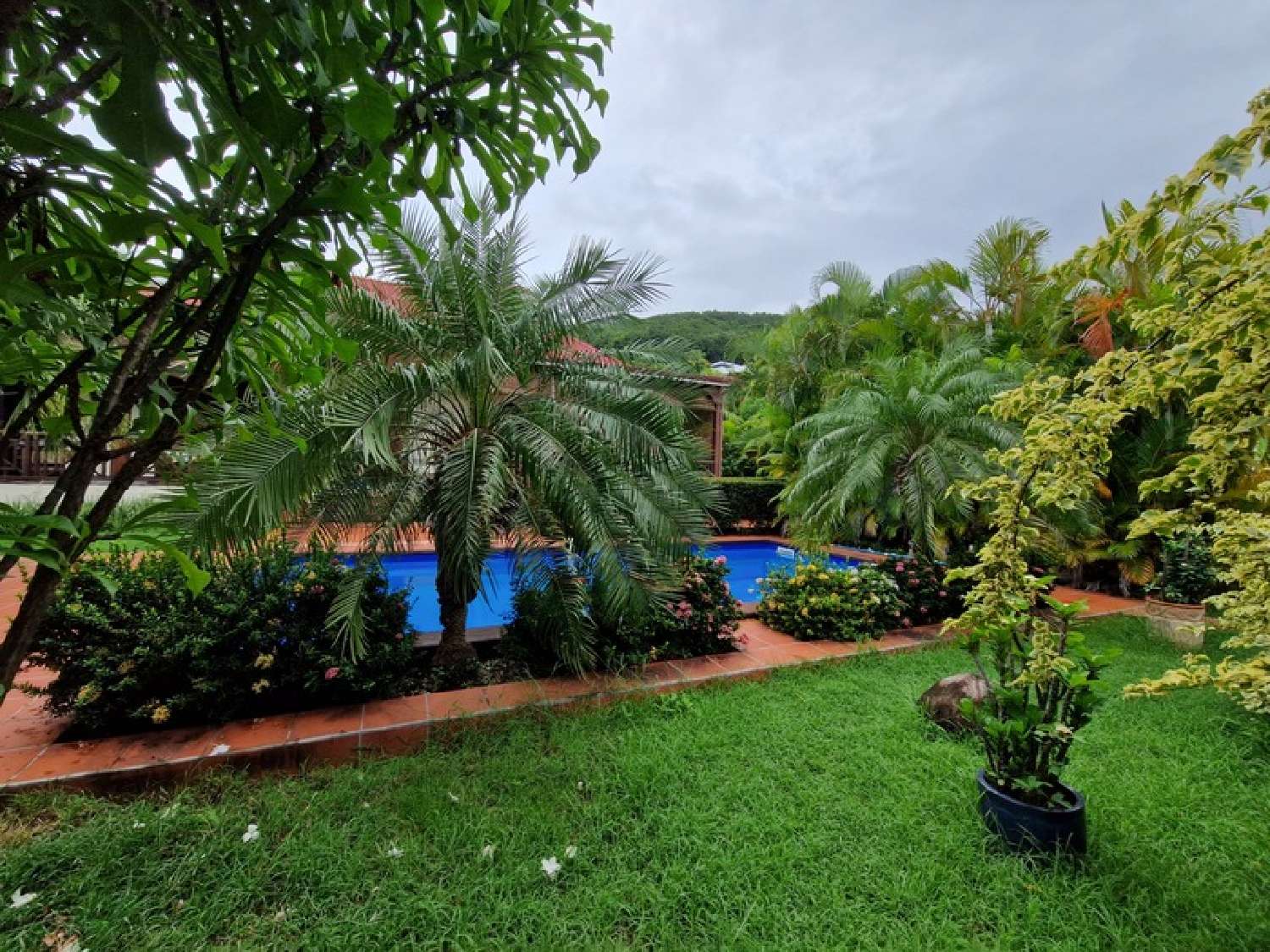 te koop villa Deshaies Guadeloupe 6