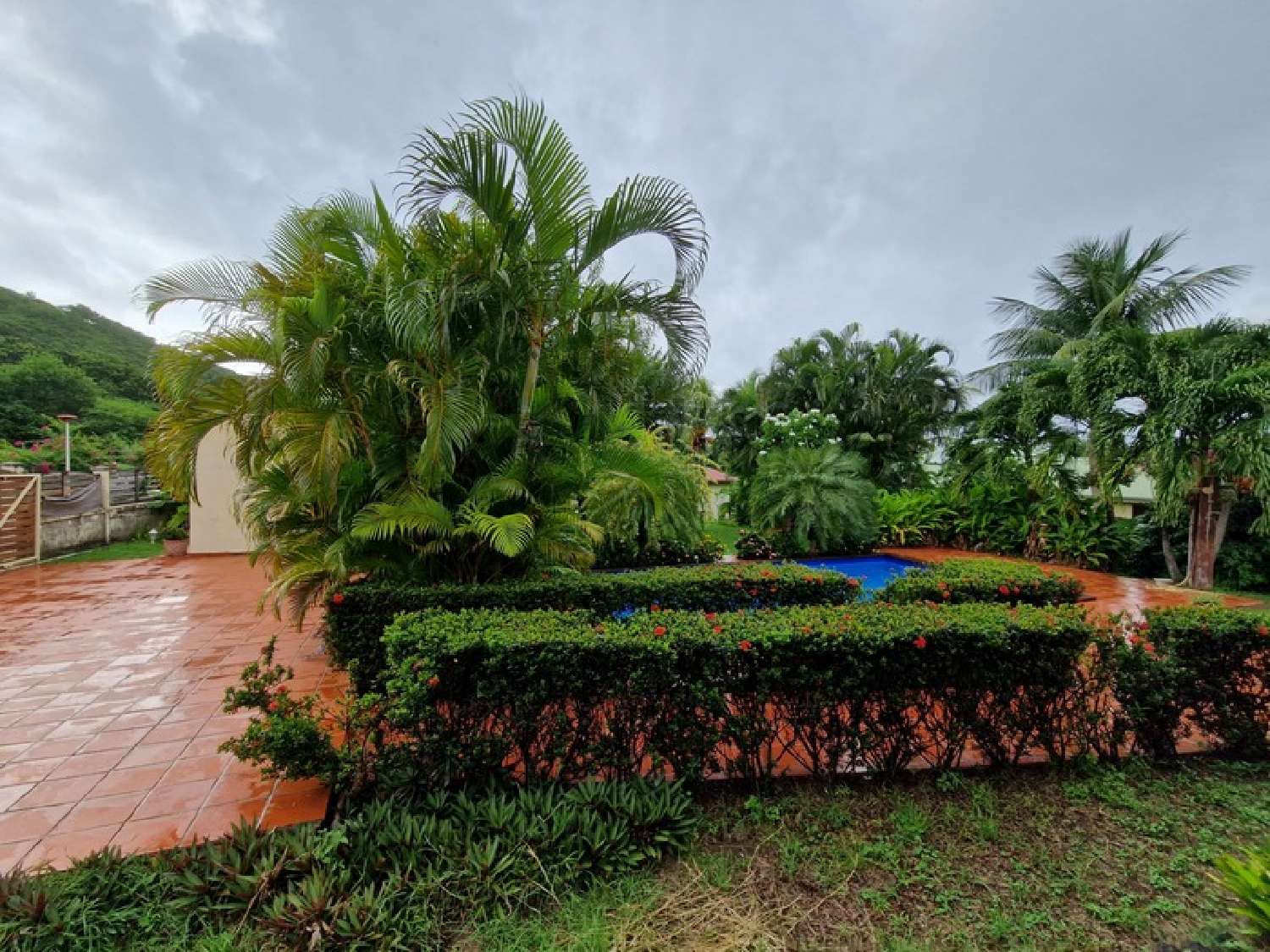 te koop villa Deshaies Guadeloupe 8