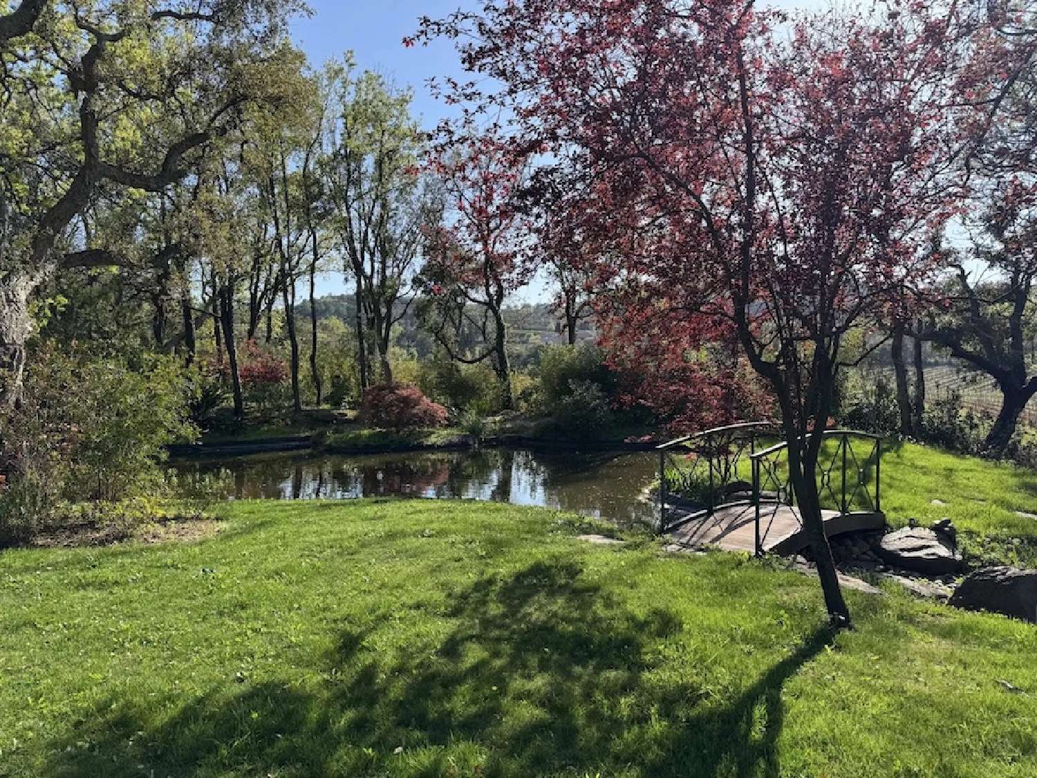  te koop villa Grimaud Var 5