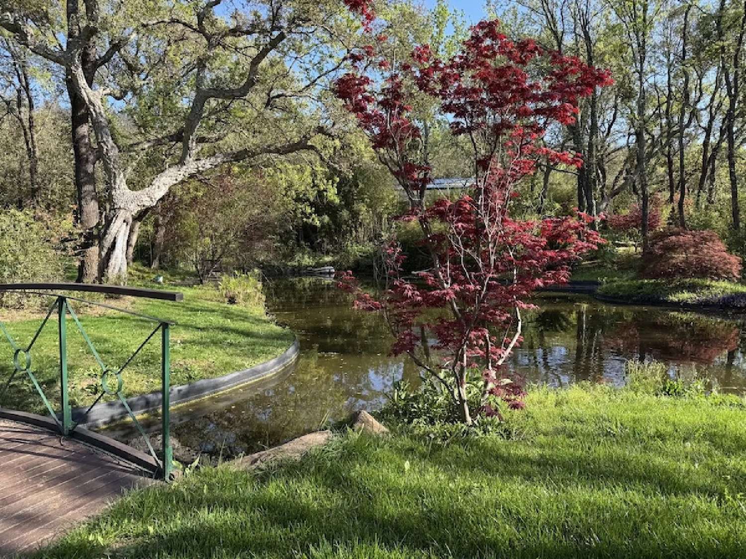  te koop villa Grimaud Var 6