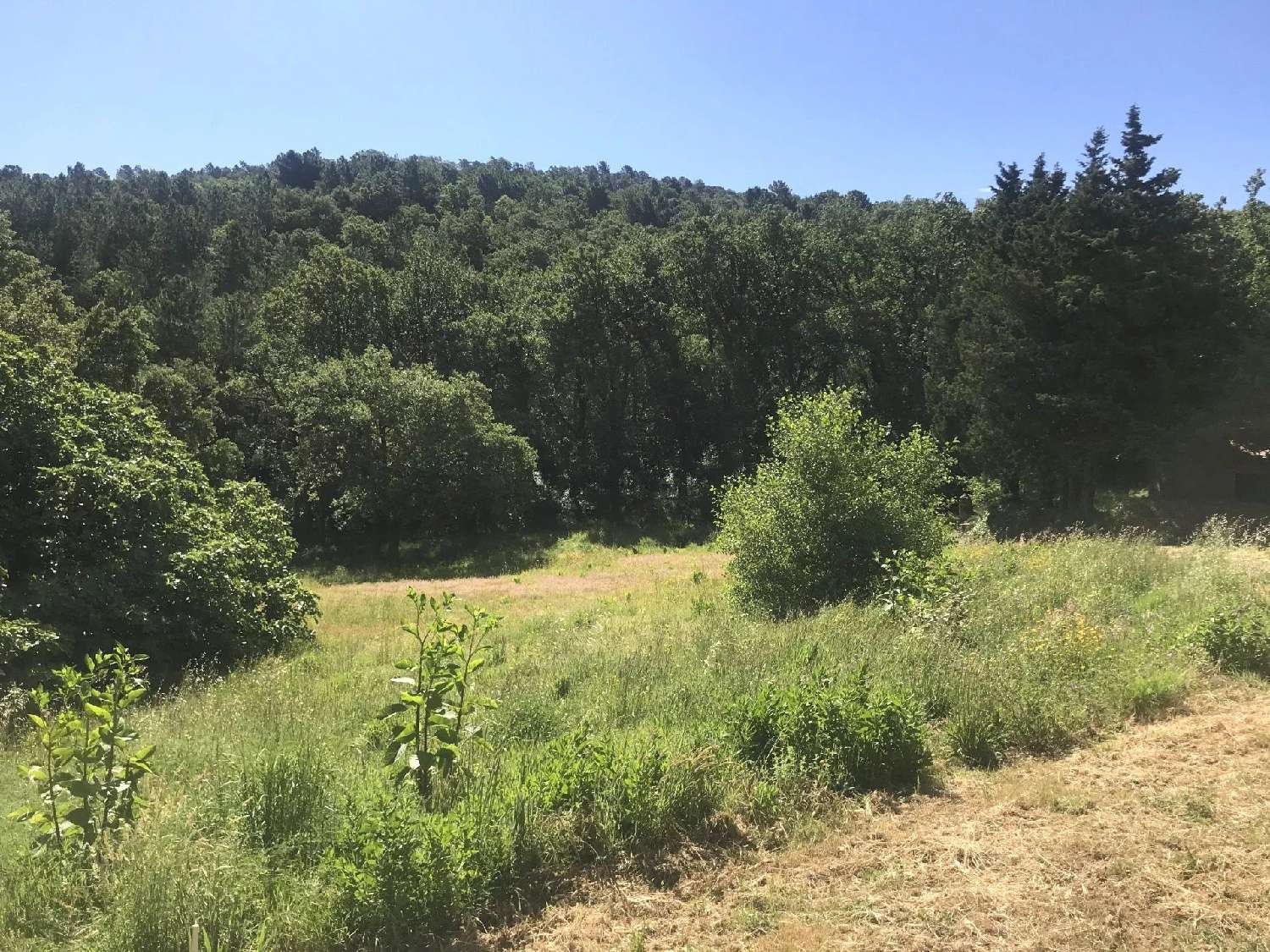  te koop villa La Garde-Freinet Var 8