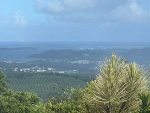 Le François Martinique villa foto 7224582