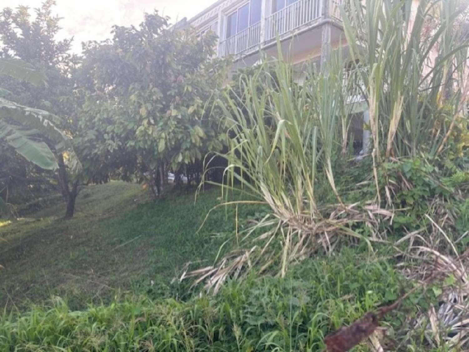 for sale villa Le François Martinique 7