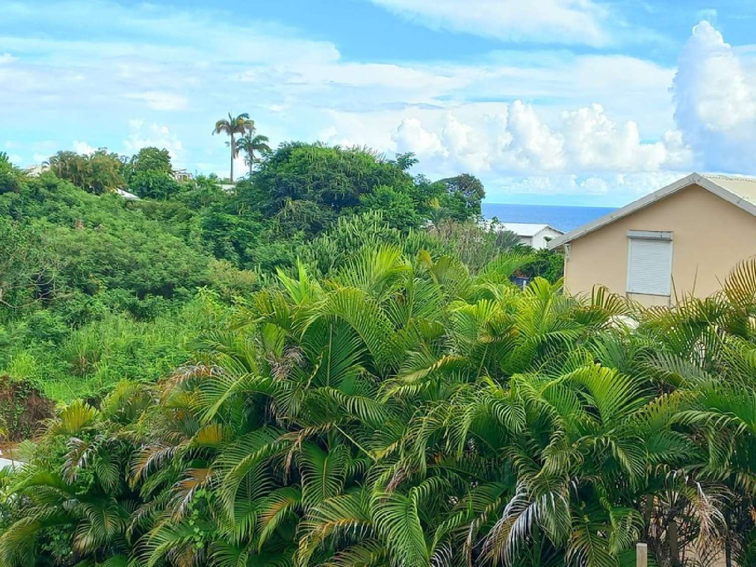kaufen Villa Le Gosier Guadeloupe 2
