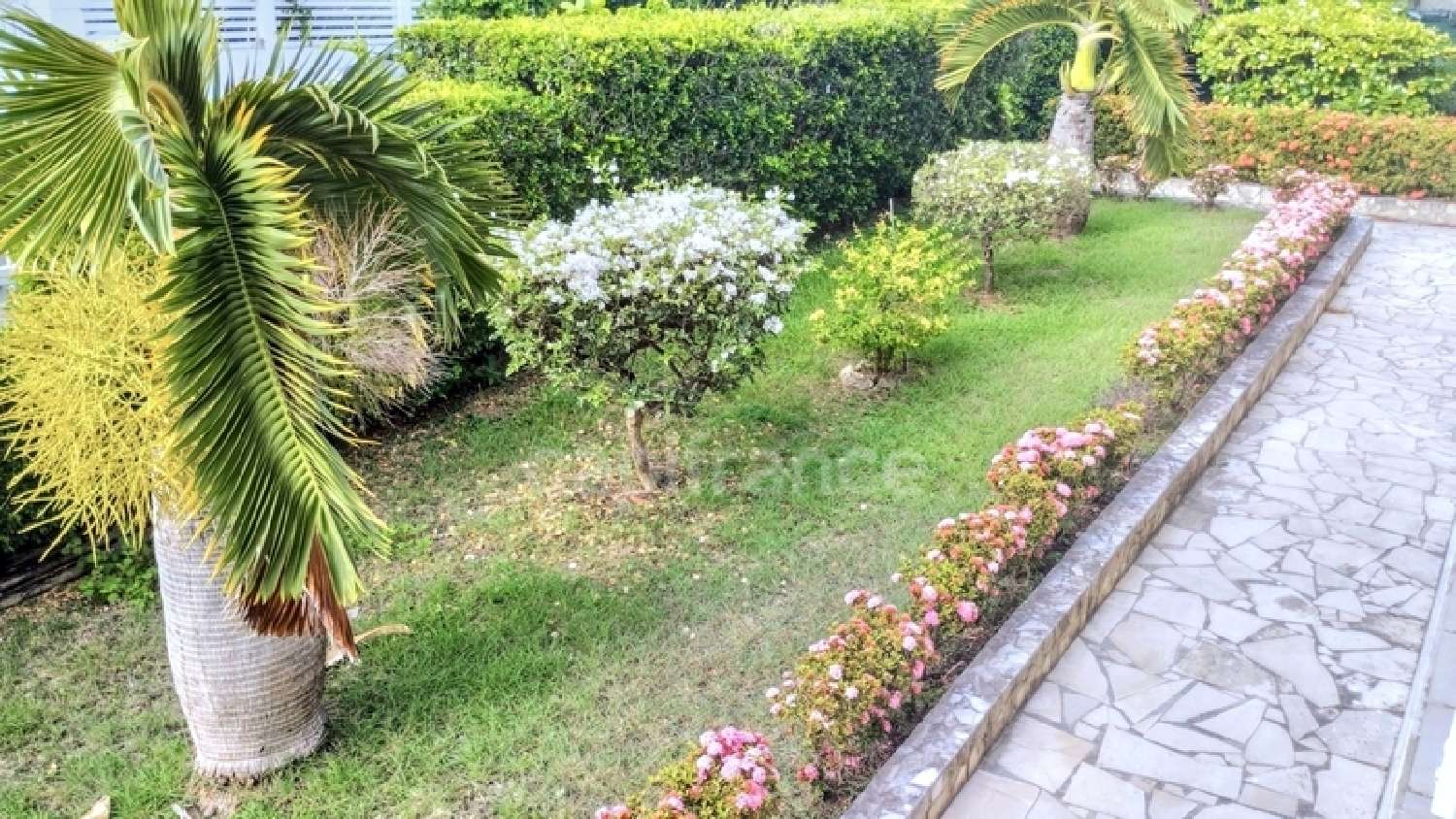  à vendre villa Le Moule Guadeloupe 4
