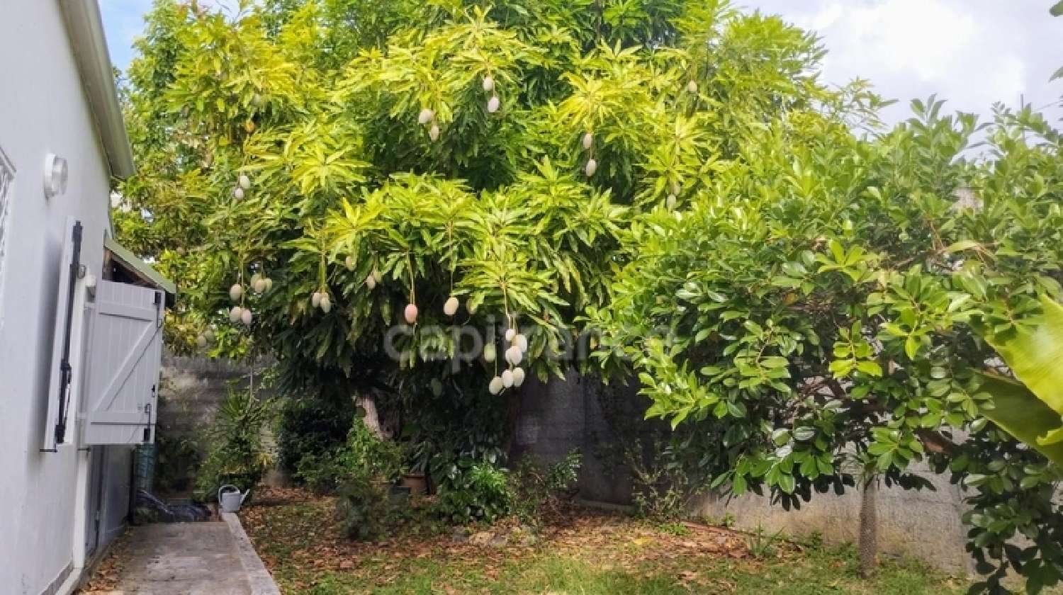  à vendre villa Le Moule Guadeloupe 5