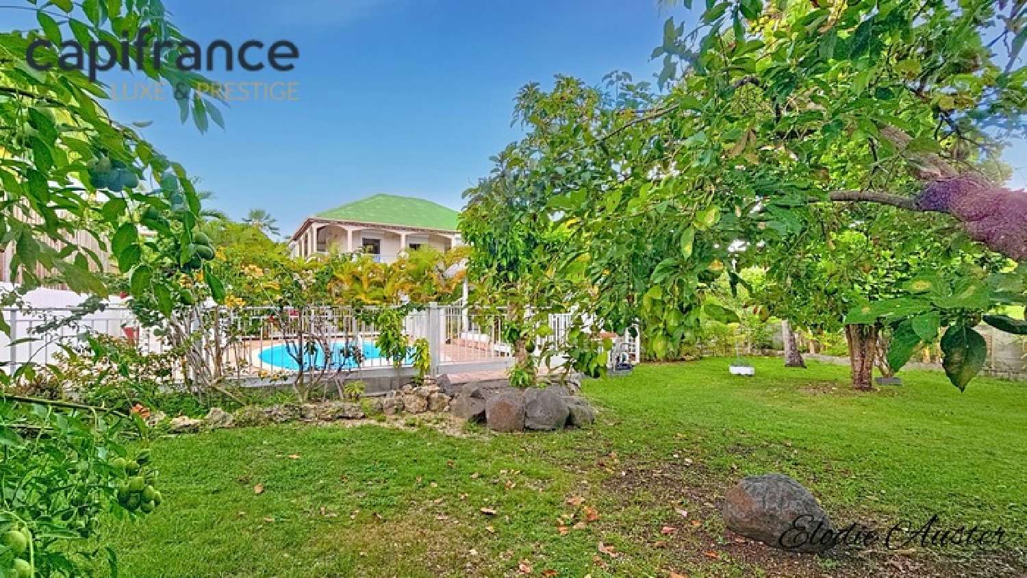  à vendre villa Le Moule Guadeloupe 4