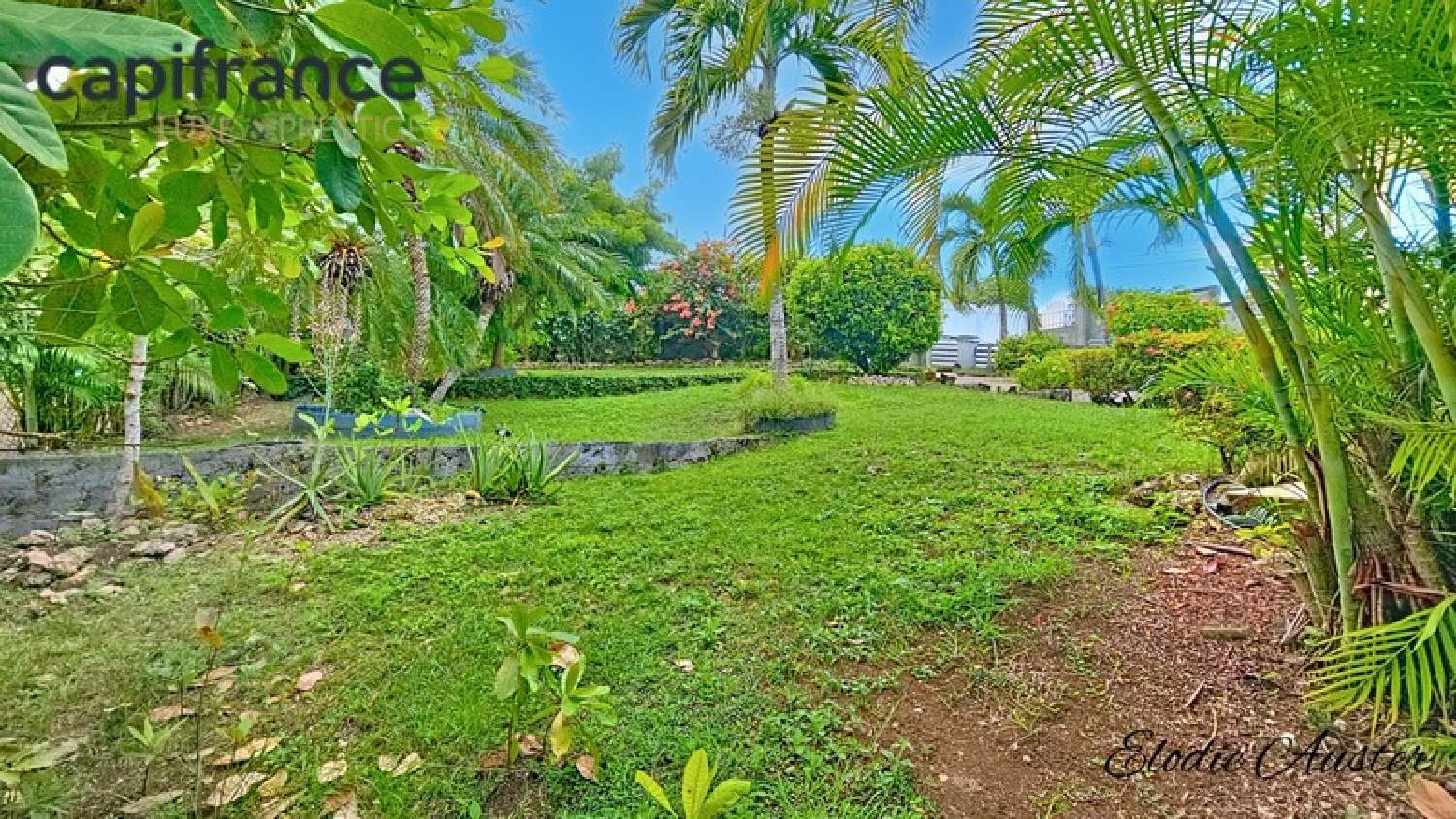  à vendre villa Le Moule Guadeloupe 5