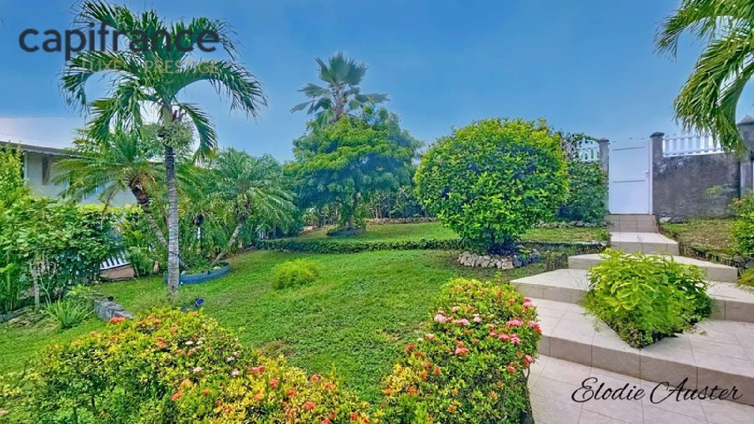  à vendre villa Le Moule Guadeloupe 6