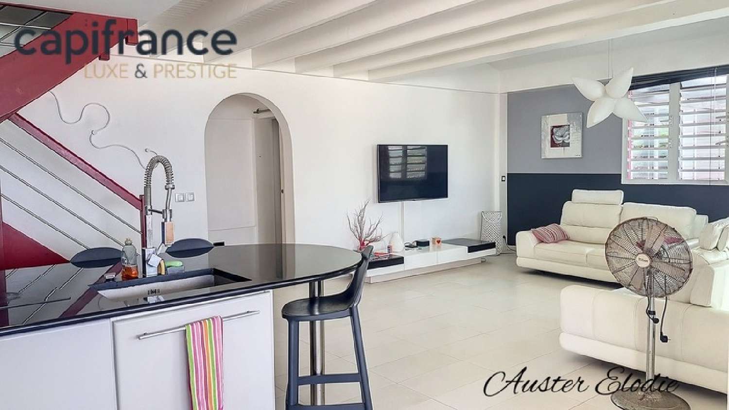 à vendre villa Le Moule Guadeloupe 1