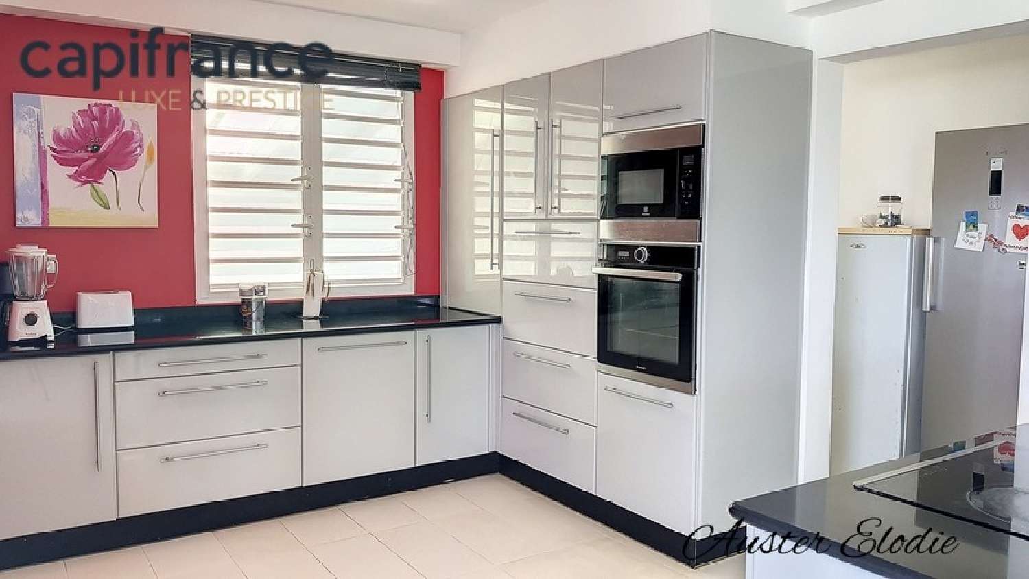 à vendre villa Le Moule Guadeloupe 4