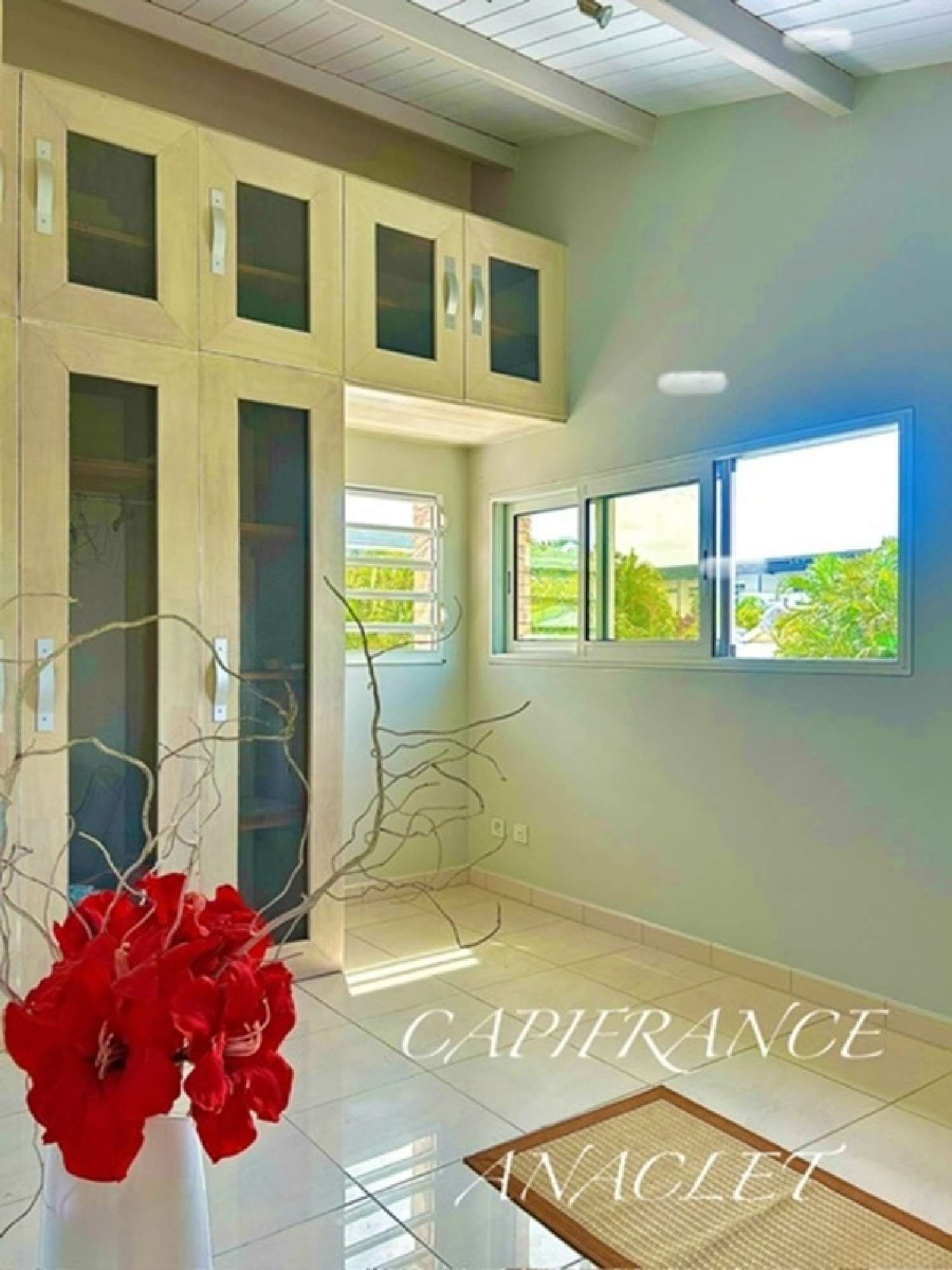 te koop villa Les Trois-Îlets Martinique 7