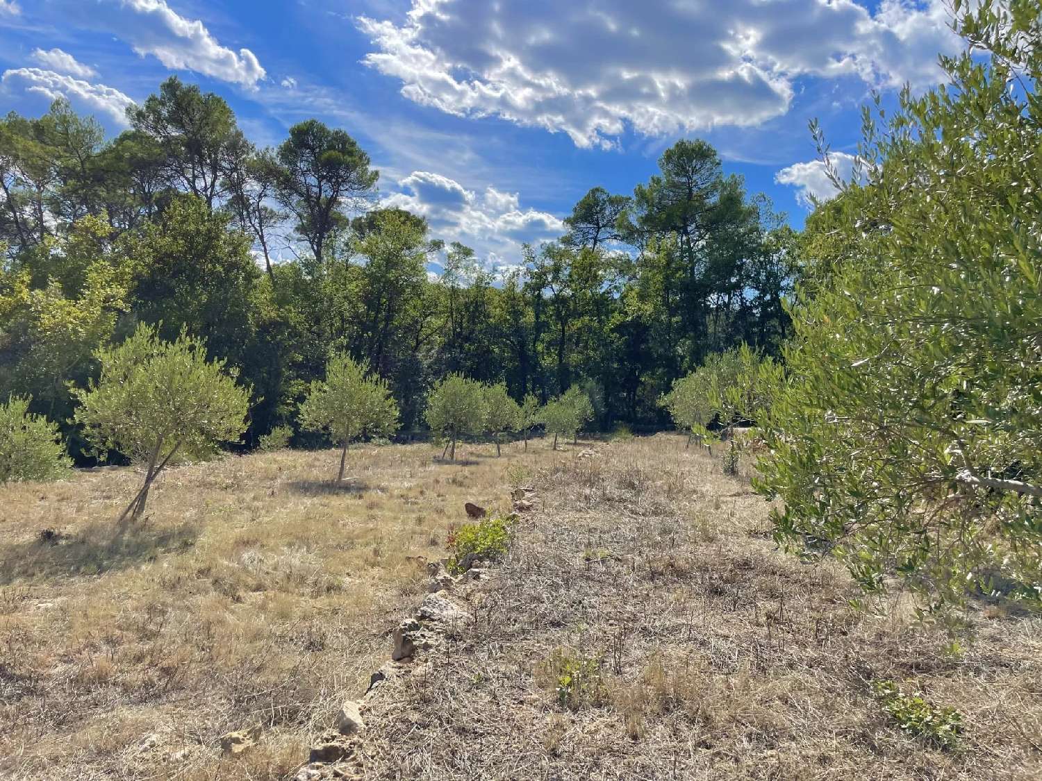 for sale villa Lorgues Var 6