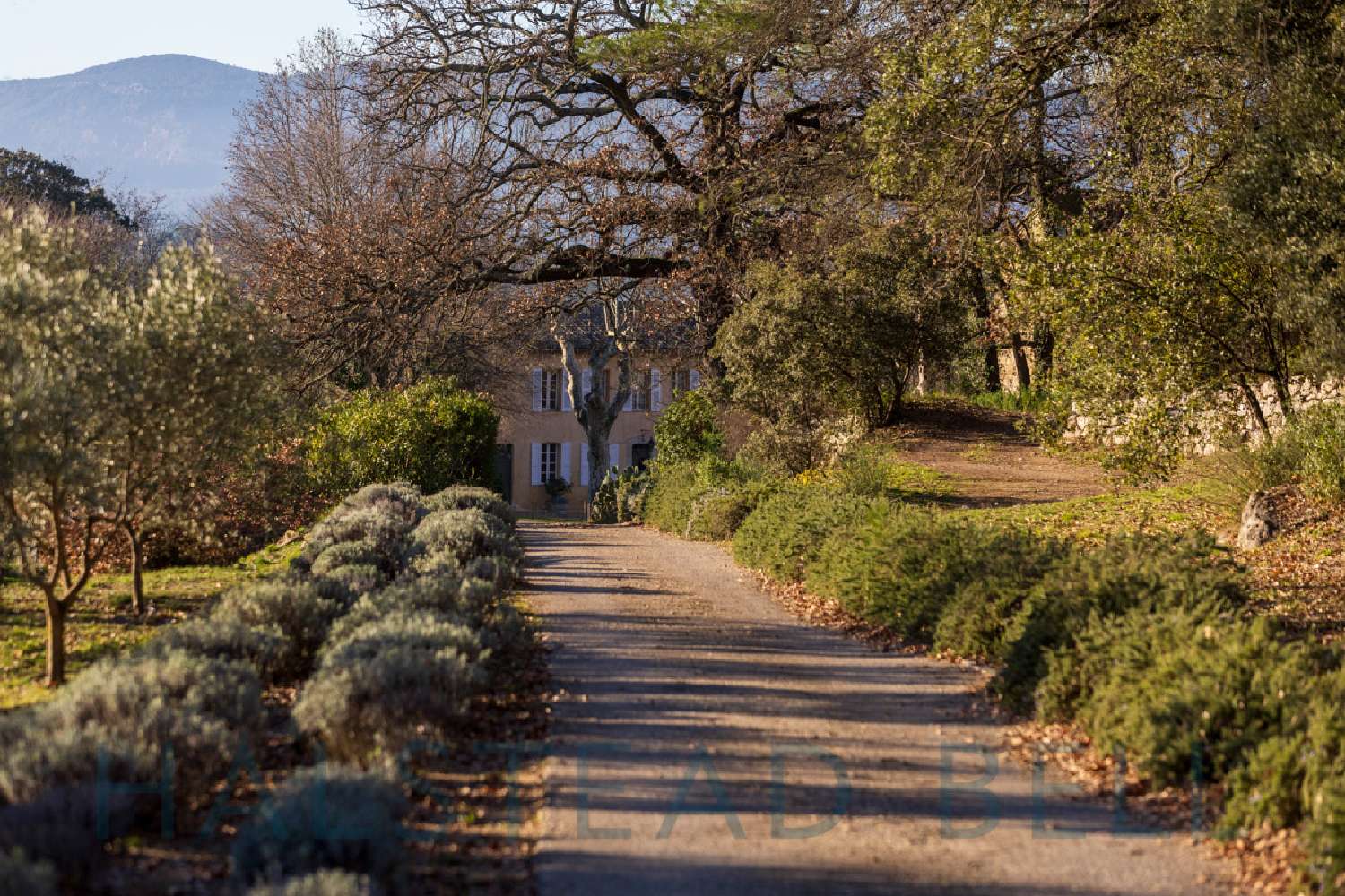  te koop villa Lorgues Var 1