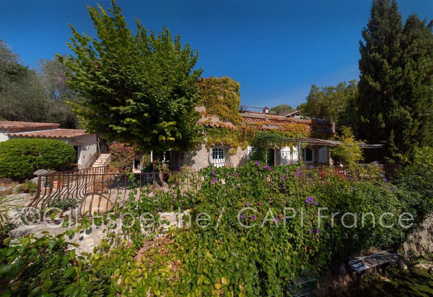  te koop villa Mougins Alpes-Maritimes 2