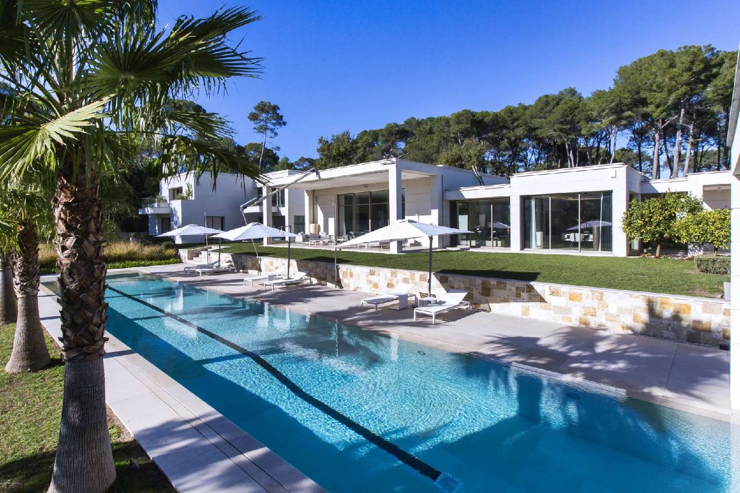  te koop villa Mougins Alpes-Maritimes 1
