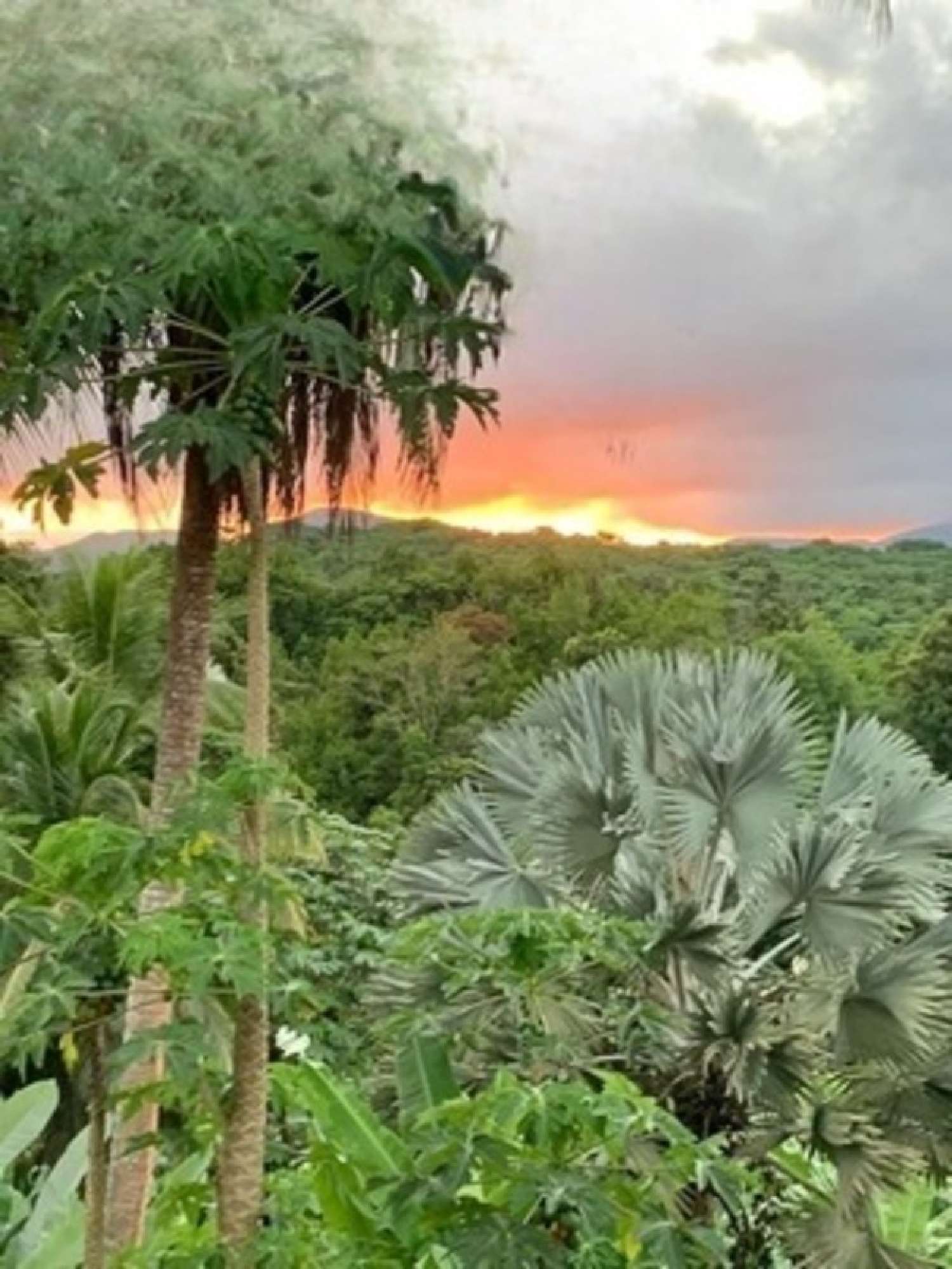  te koop villa Petit-Bourg Guadeloupe 2