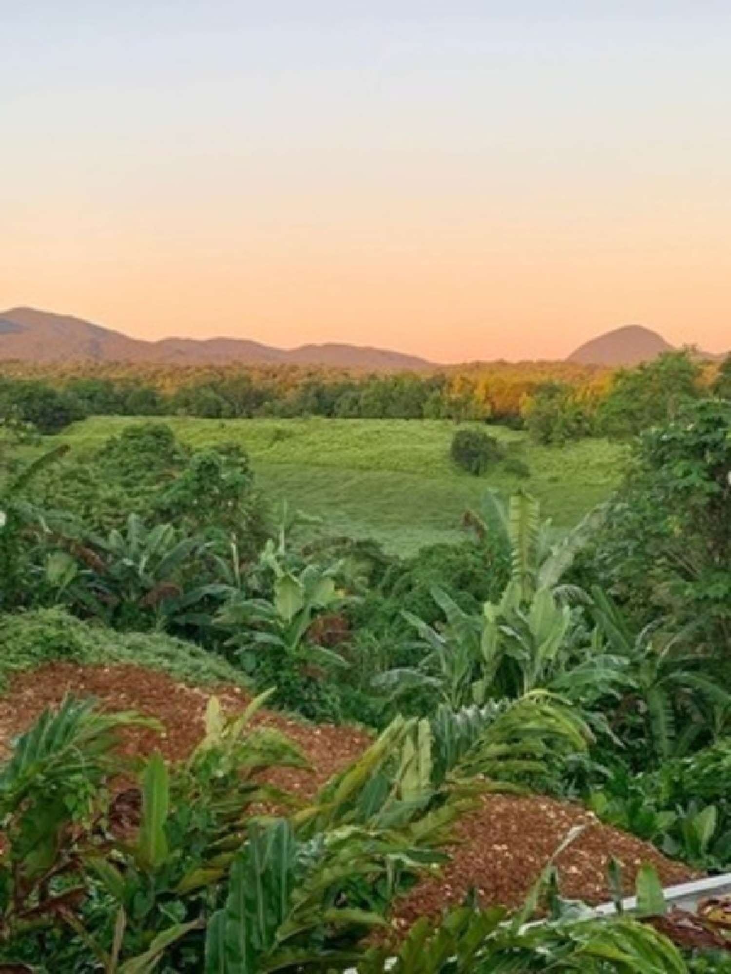  te koop villa Petit-Bourg Guadeloupe 3