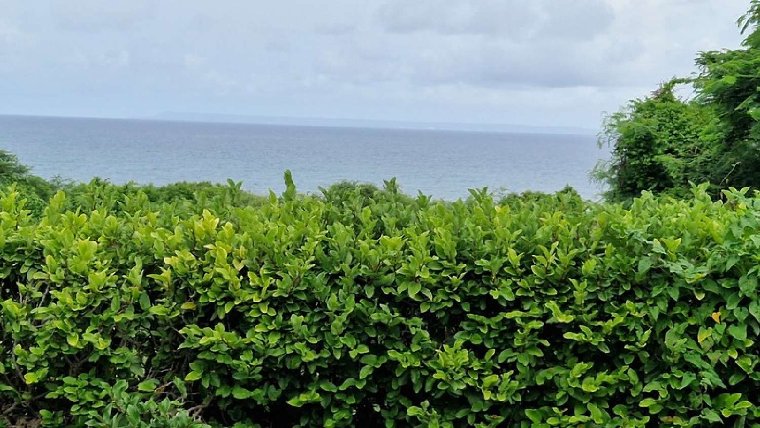  te koop villa Saint-François Guadeloupe 3