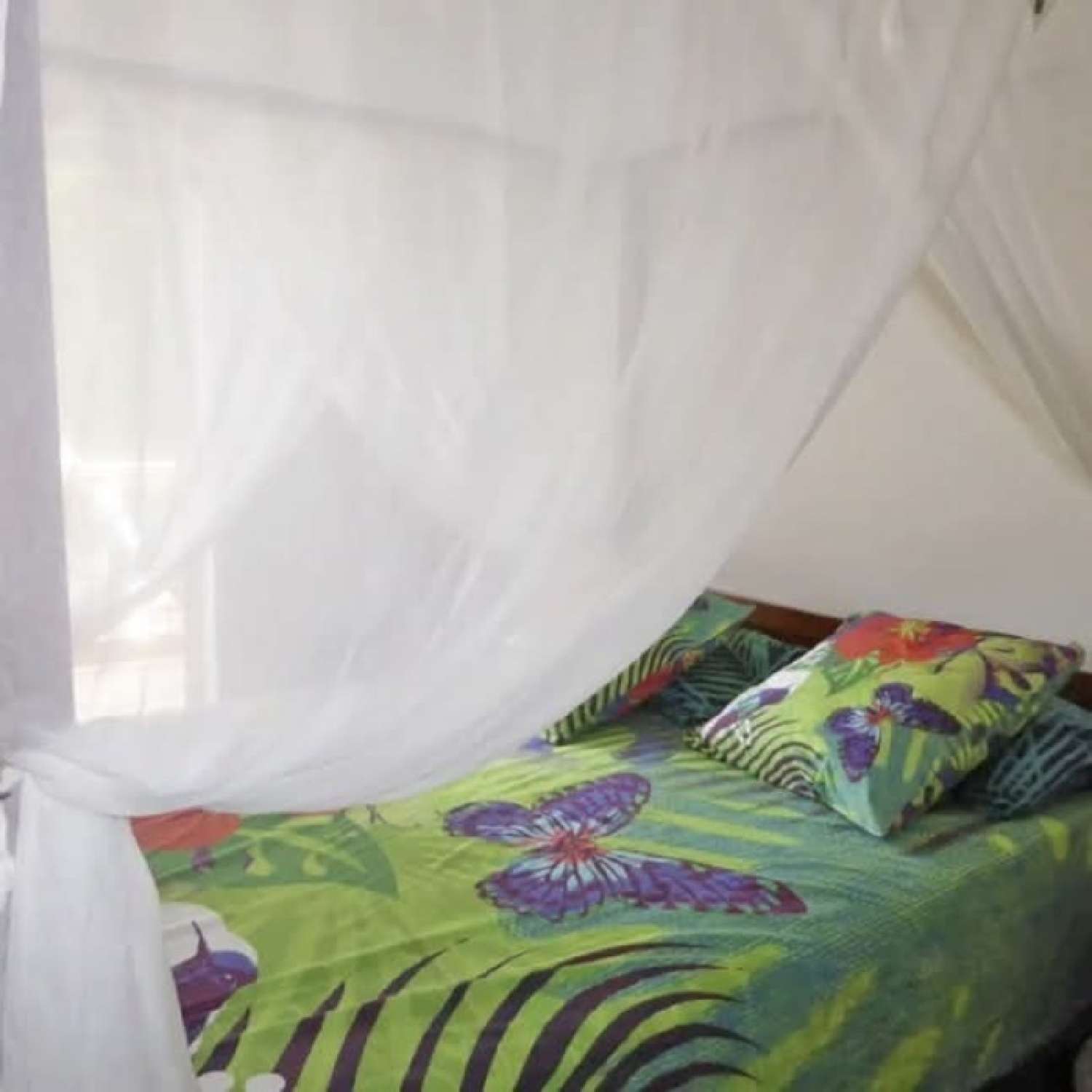 te koop villa Saint-François Guadeloupe 8