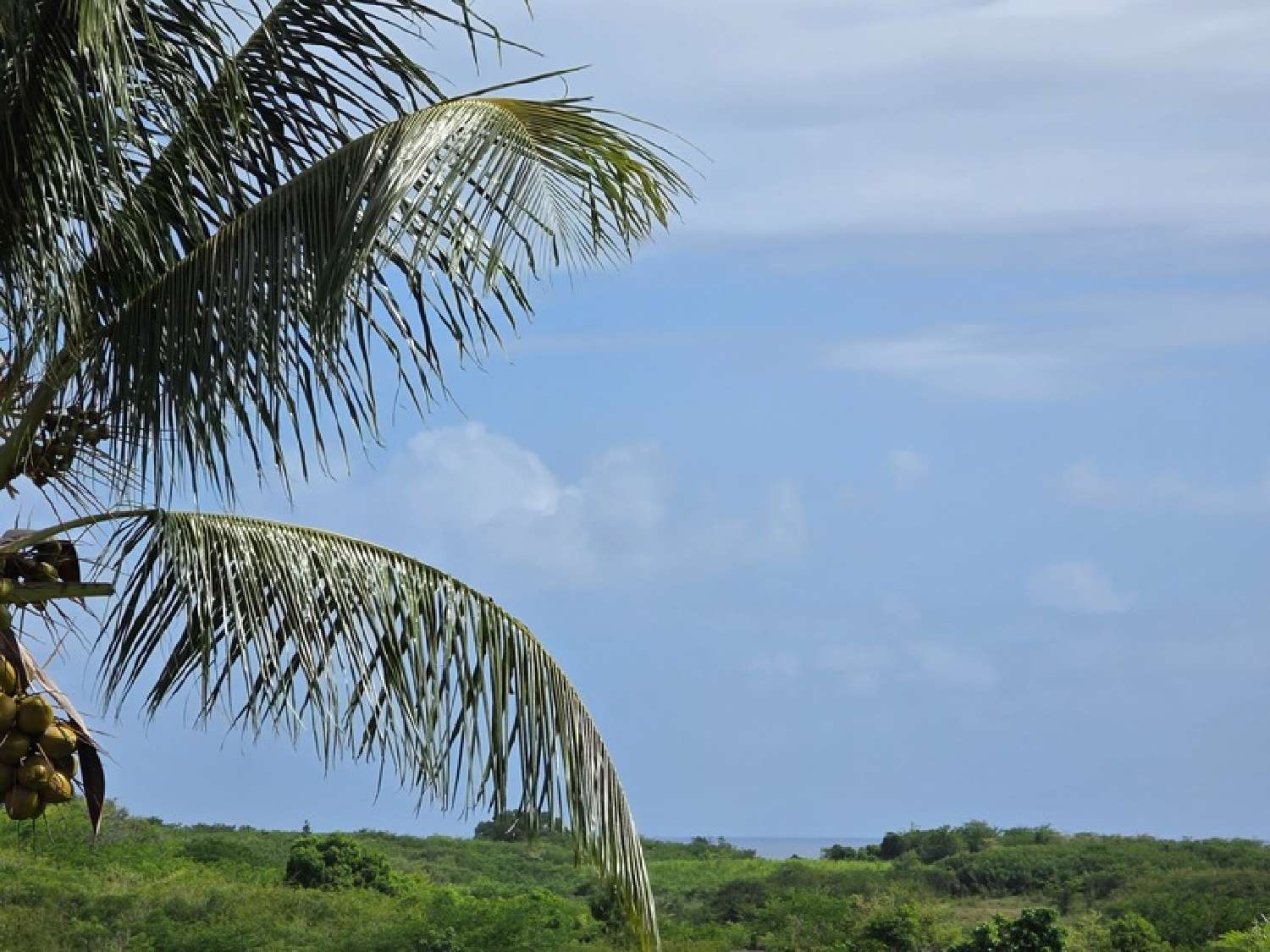  te koop villa Sainte-Anne Guadeloupe 3