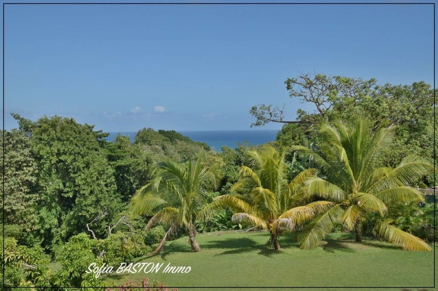 kaufen Villa Sainte-Marie Martinique 3