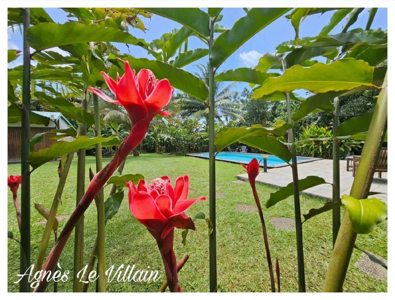 te koop villa Sainte-Rose Guadeloupe 2