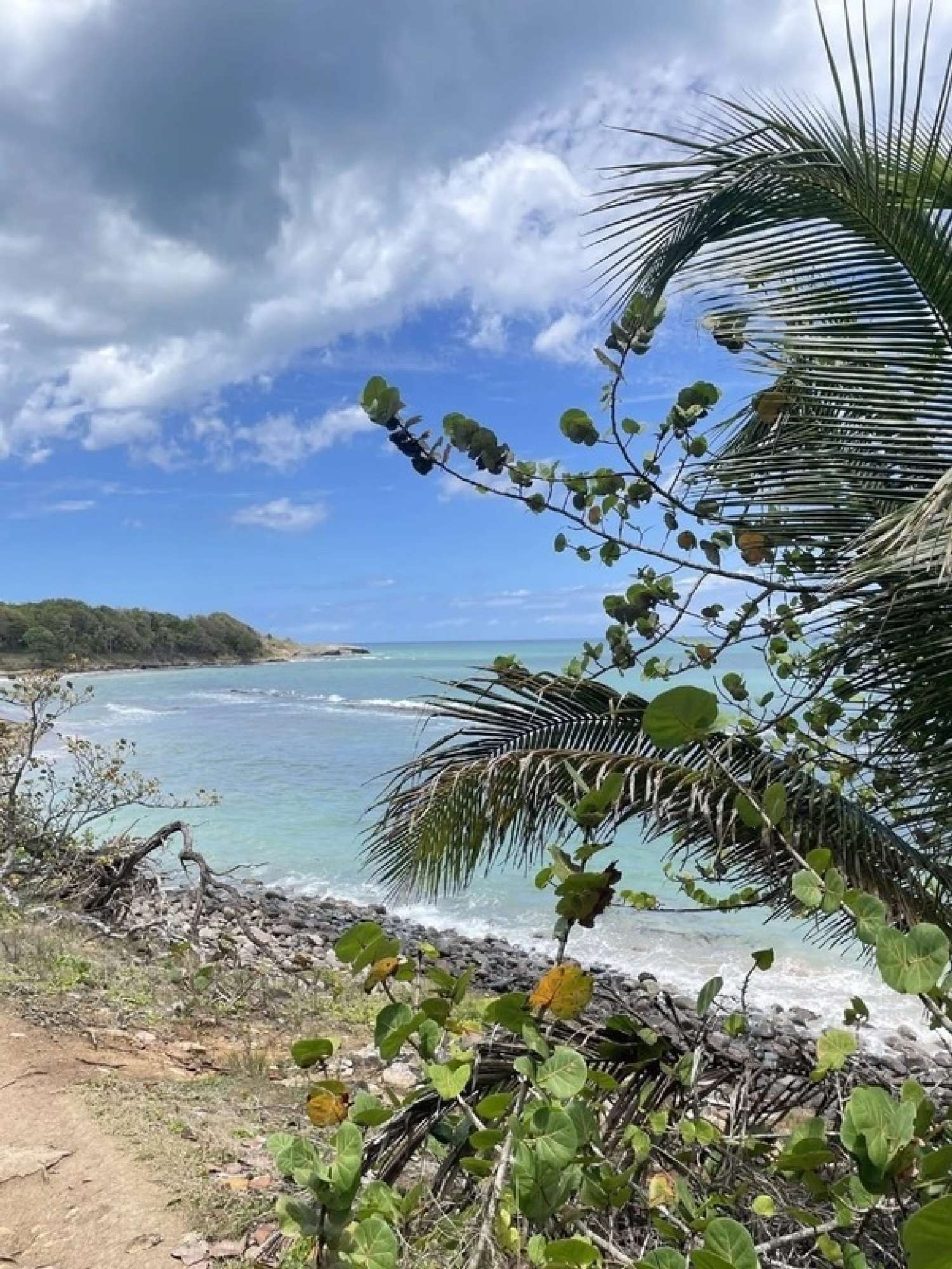  te koop villa Sainte-Rose Guadeloupe 2