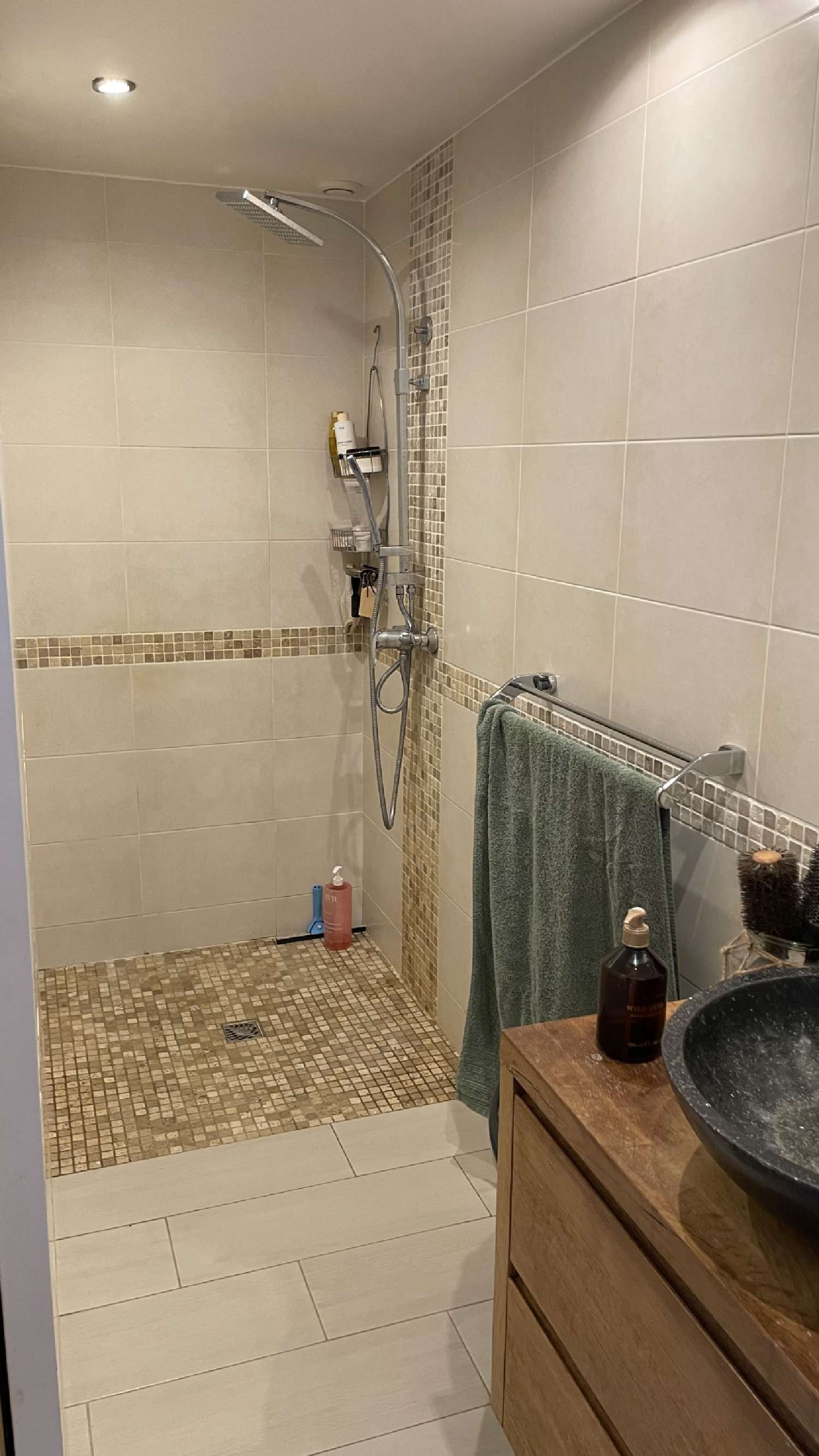  te koop villa Thuré Vienne 3