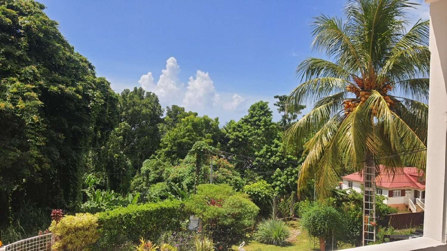  te koop villa Trois-Rivières Guadeloupe 4