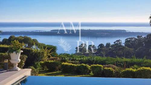 Vallauris Alpes-Maritimes villa foto 7231422