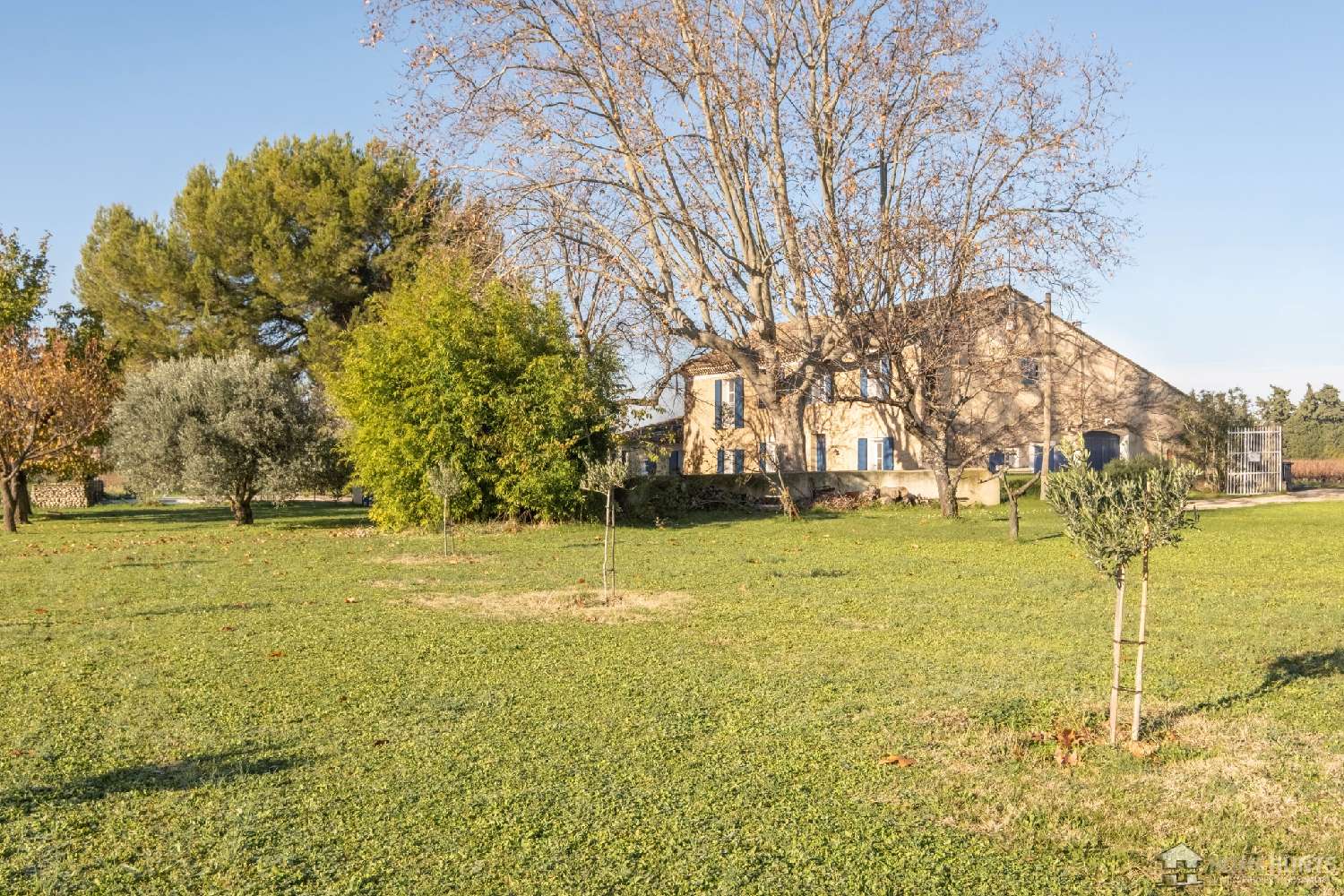 à vendre villa Violès Vaucluse 5