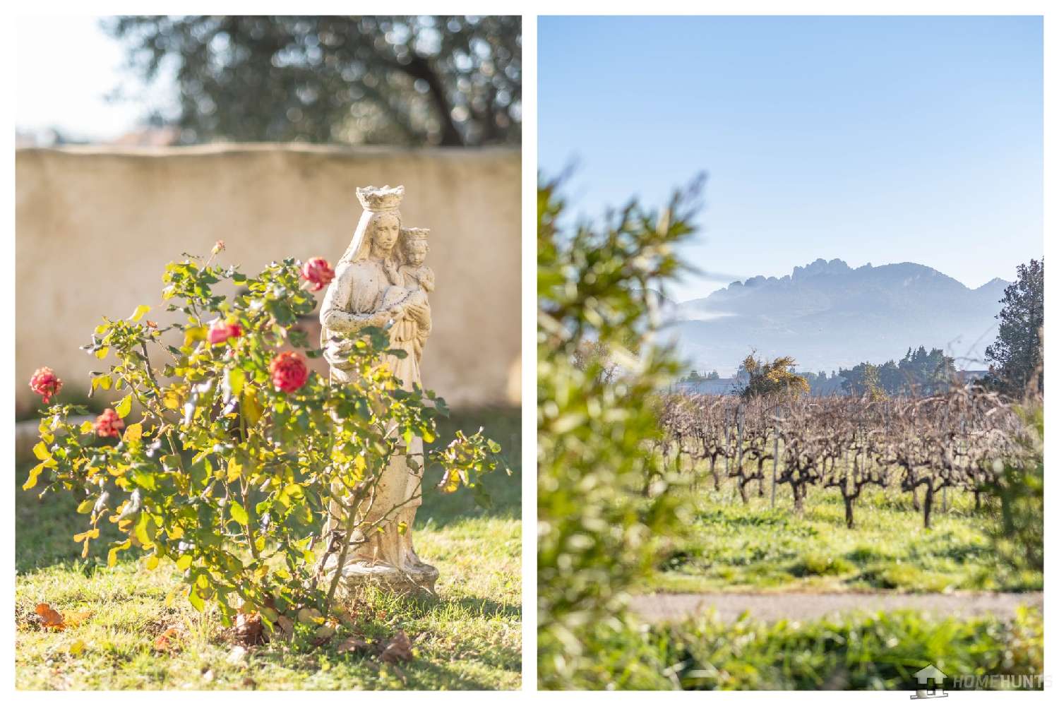 à vendre villa Violès Vaucluse 7