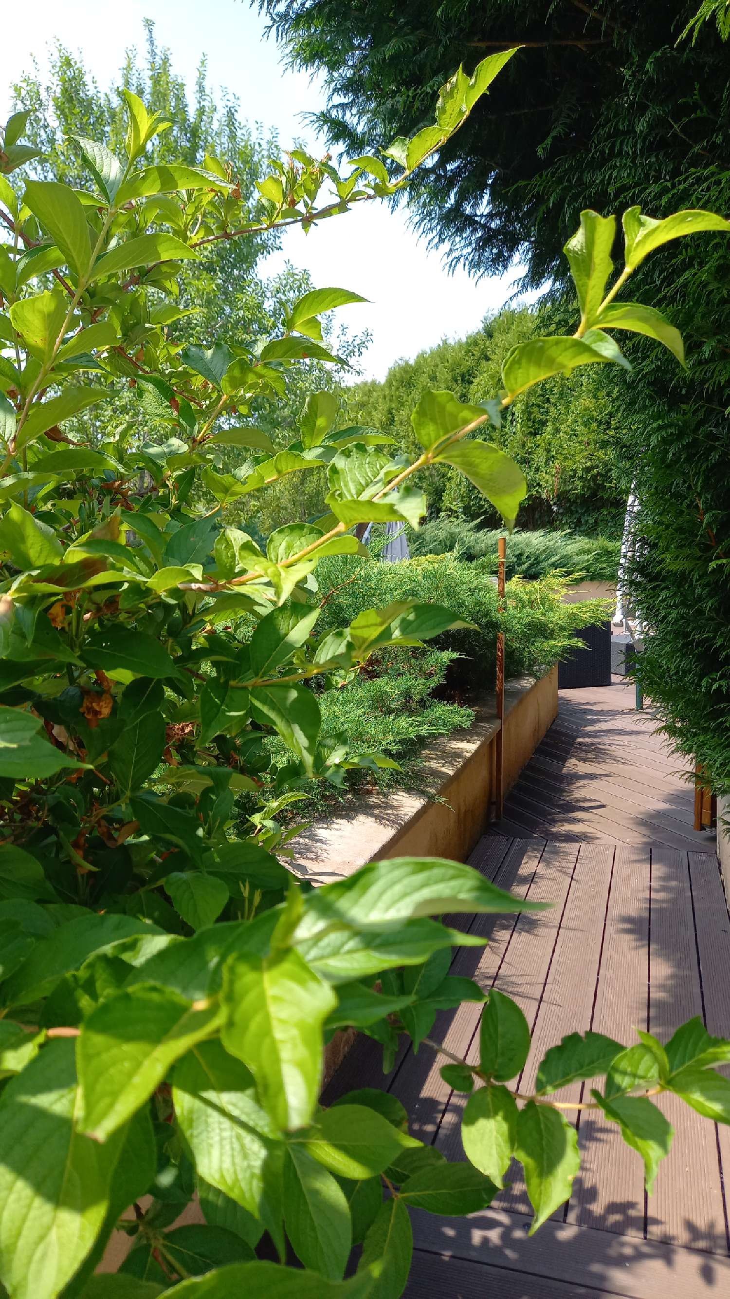  te koop dorpshuis Charcier Jura 2