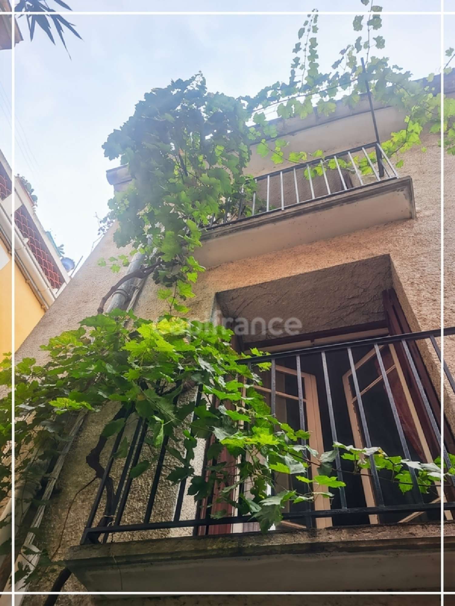  à vendre maison de village Collioure Pyrénées-Orientales 1