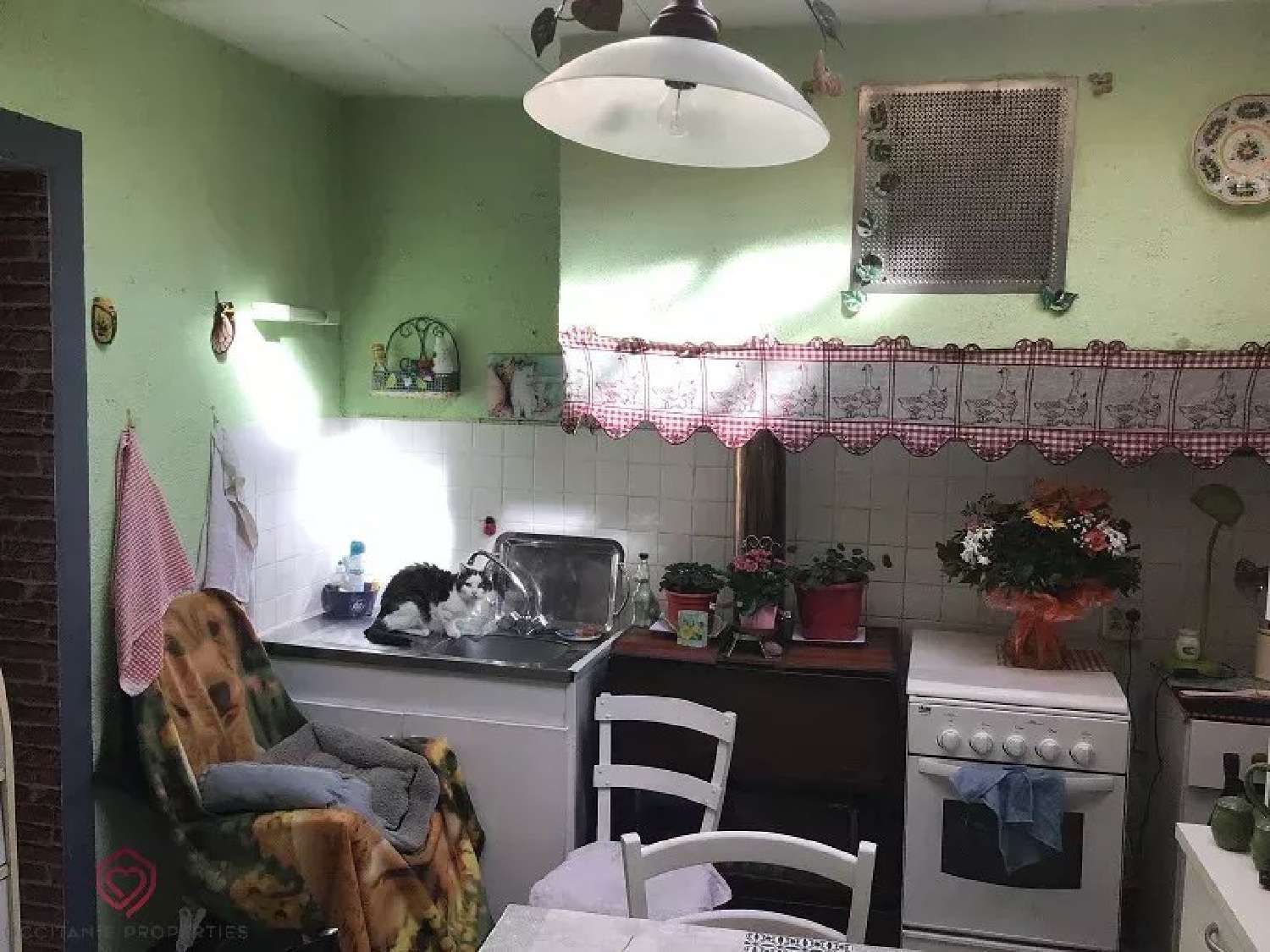 kaufen Dorfhaus L'Isle-en-Dodon Haute-Garonne 8