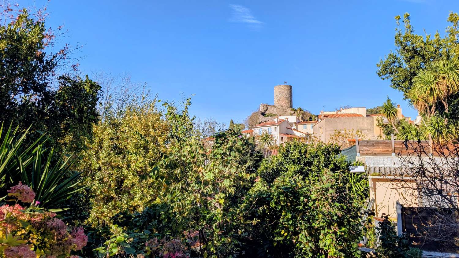 à vendre maison de village Laroque-des-Albères Pyrénées-Orientales 1