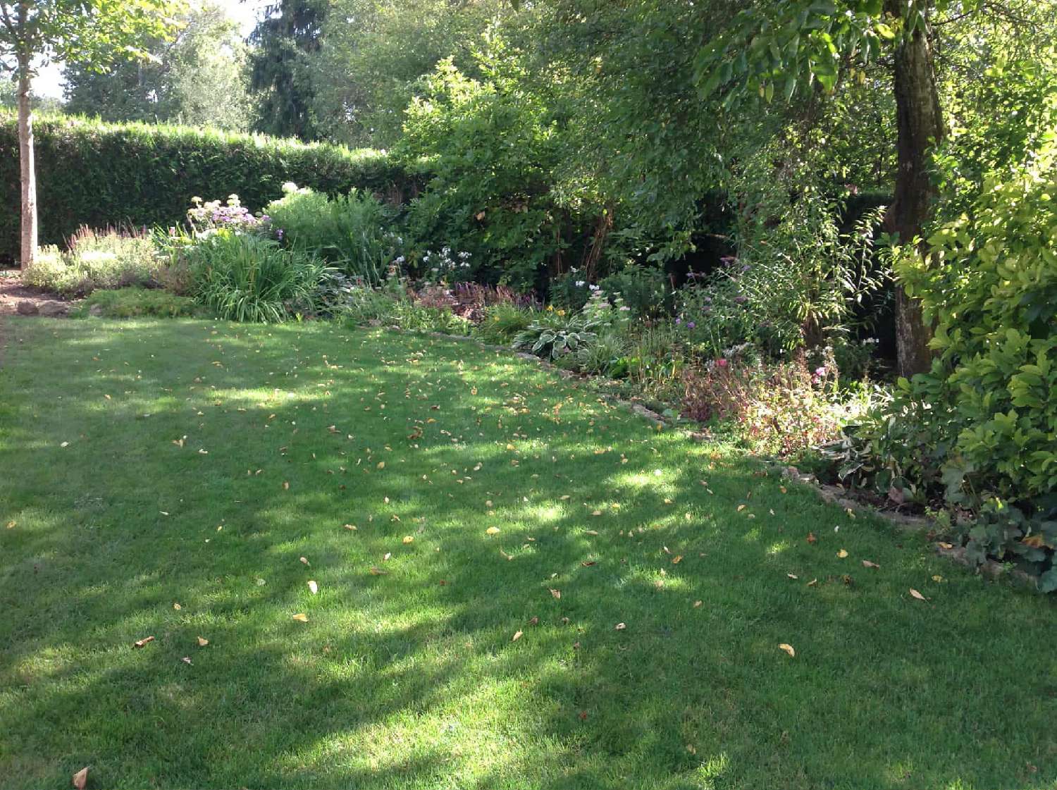 kaufen Dorfhaus Melincourt Haute-Saône 3