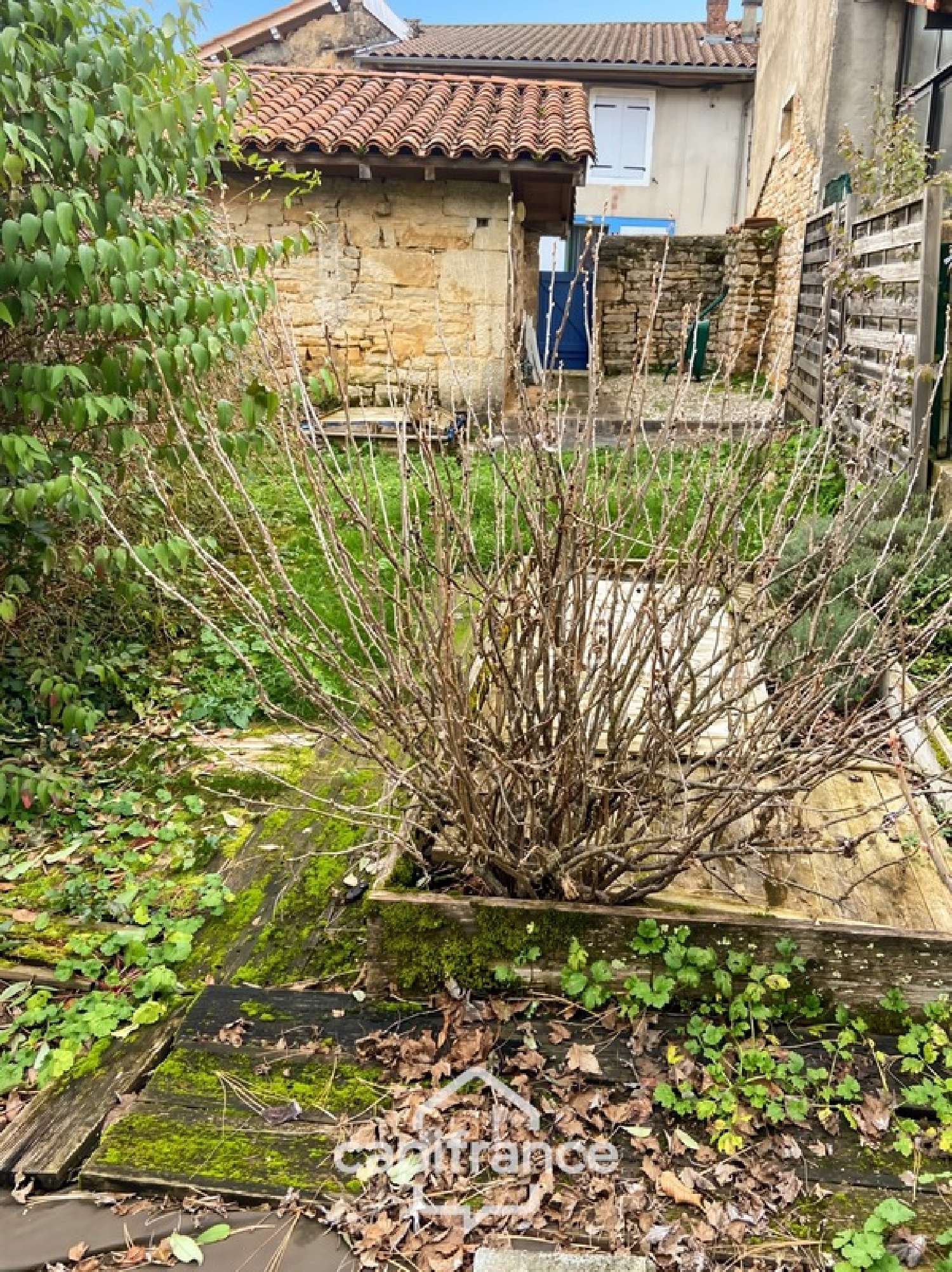 for sale village house Saint-Amour Jura 3