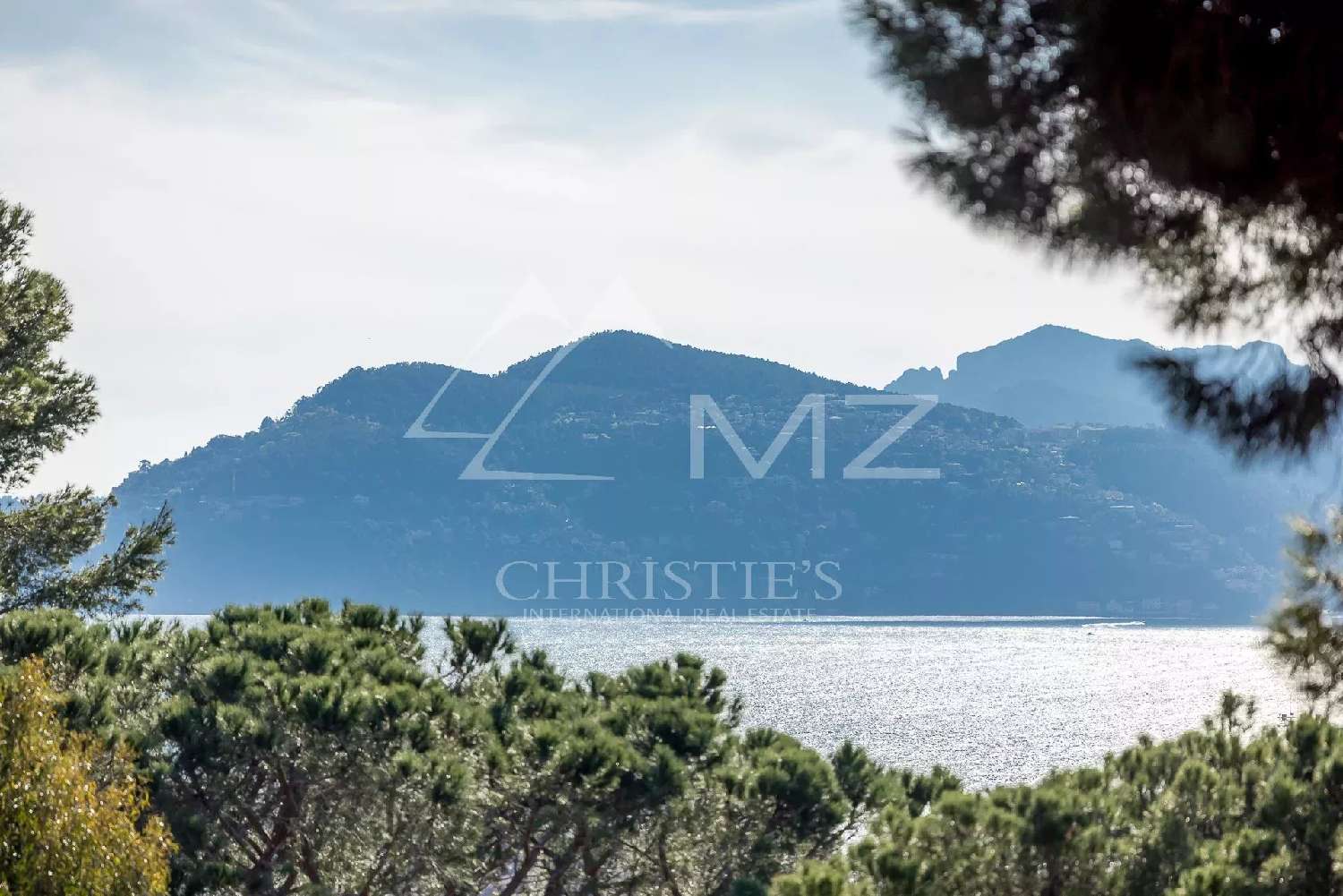  kaufen Wohnung/ Apartment Cannes Alpes-Maritimes 1
