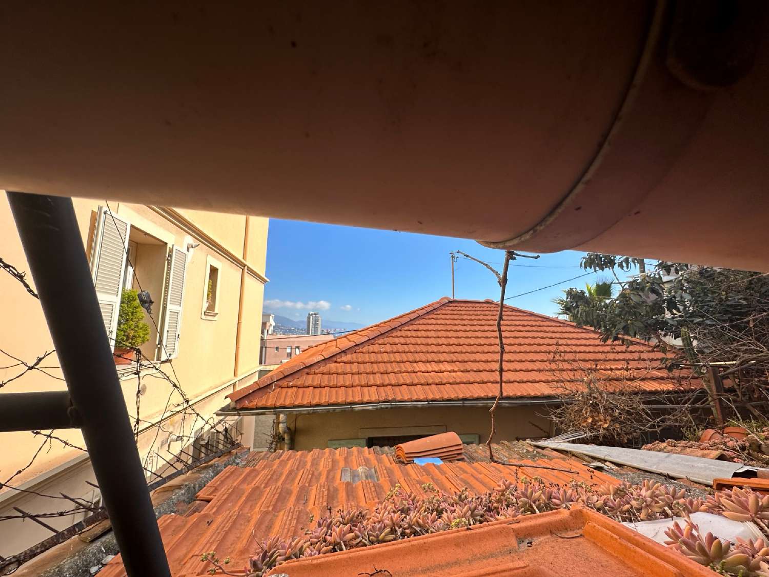  kaufen Haus Beausoleil Alpes-Maritimes 7