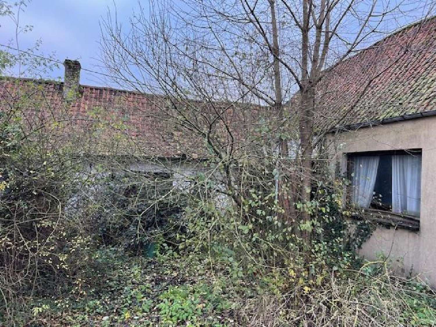  kaufen Haus Marenla Pas-de-Calais 1